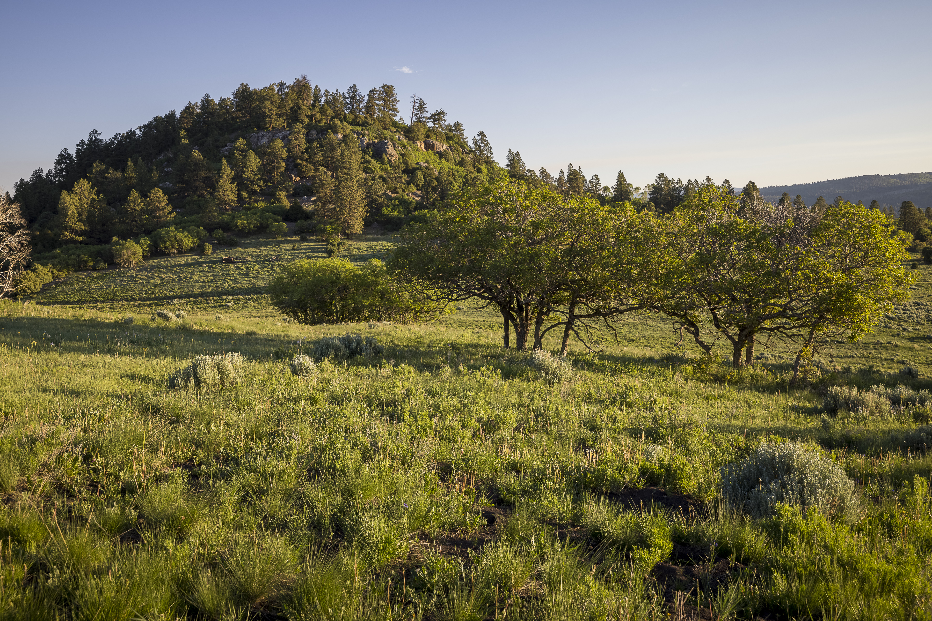  Telluride Renegade Ranch - 602 acres on Hastings Mesa - 物件實景