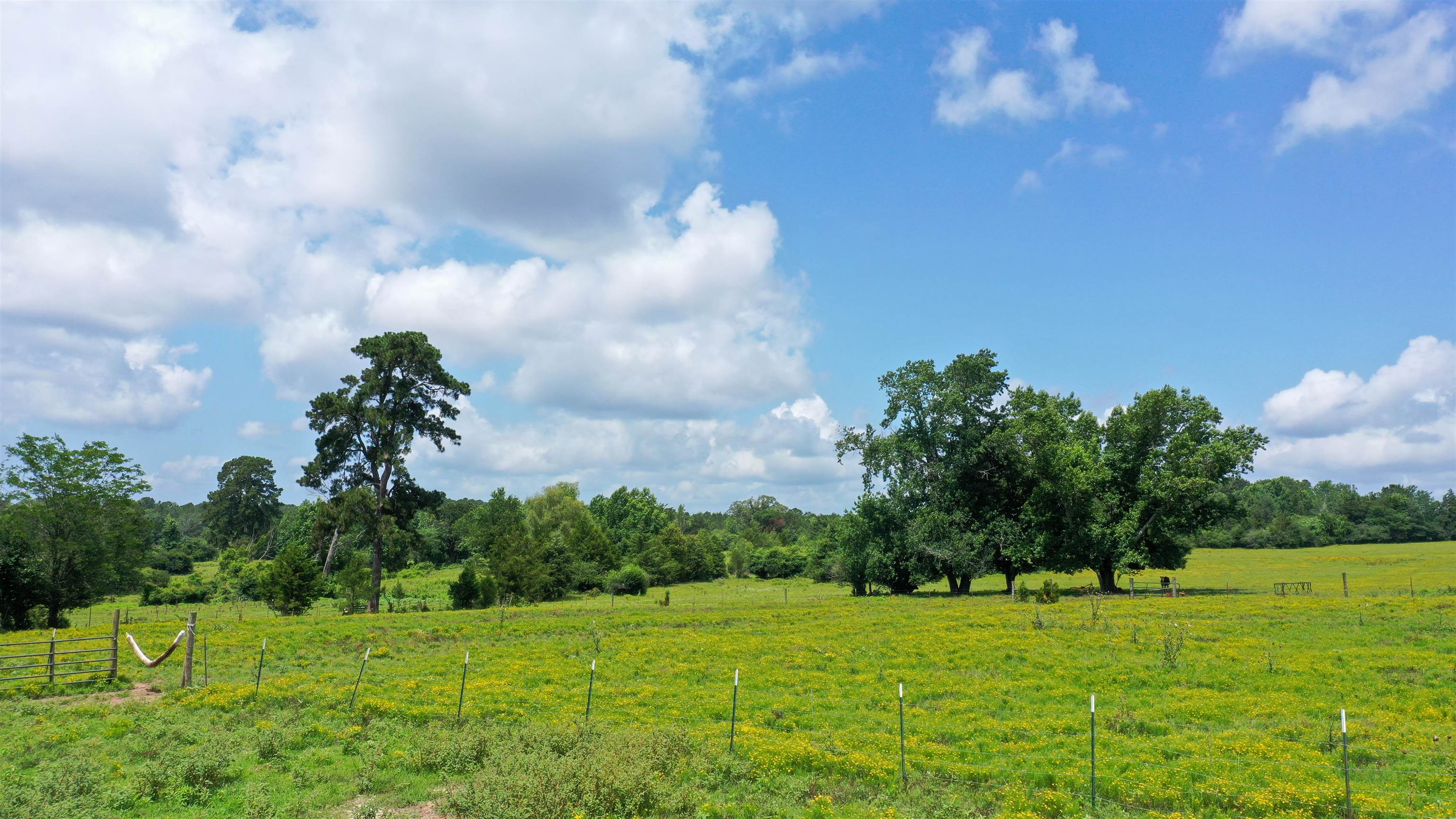 Linden, Texas, 75563, United States, ,Land,For Sale,1975448
