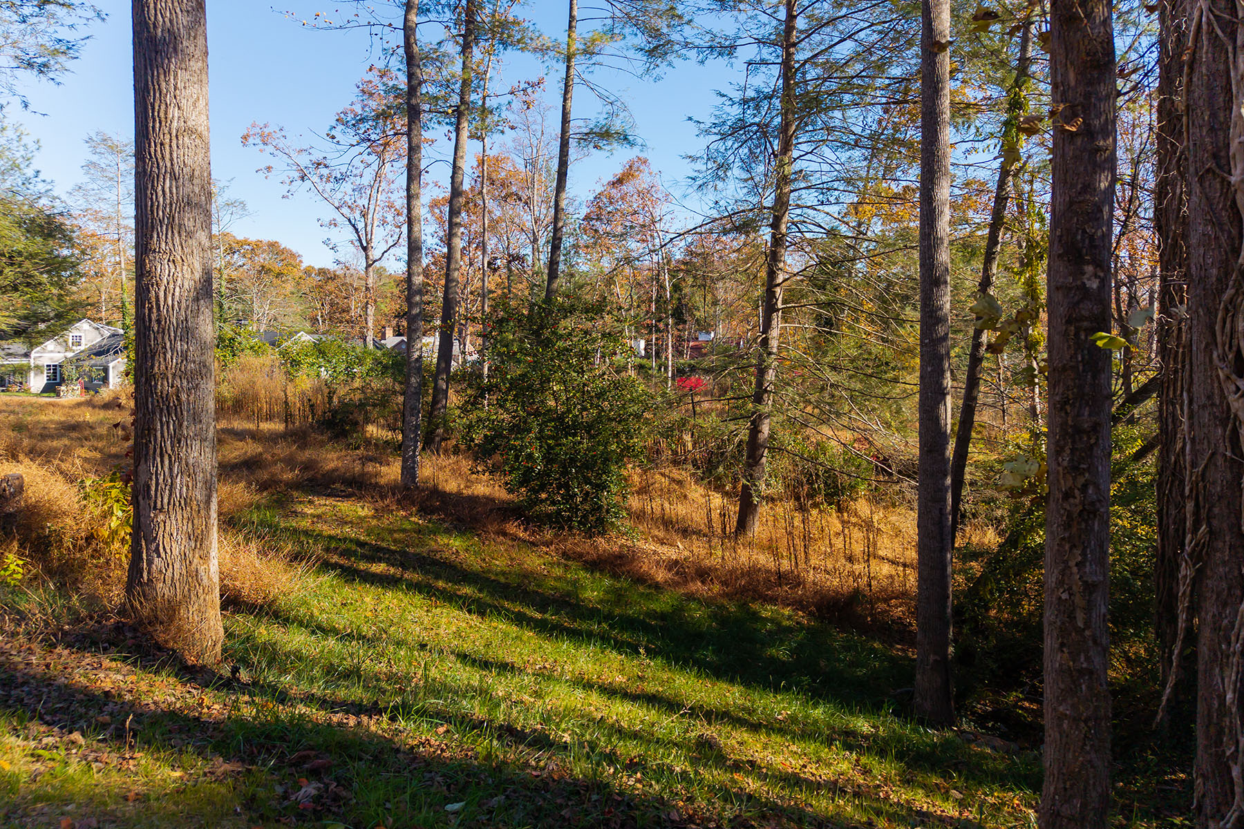  ASHEVILLE - 物件實景