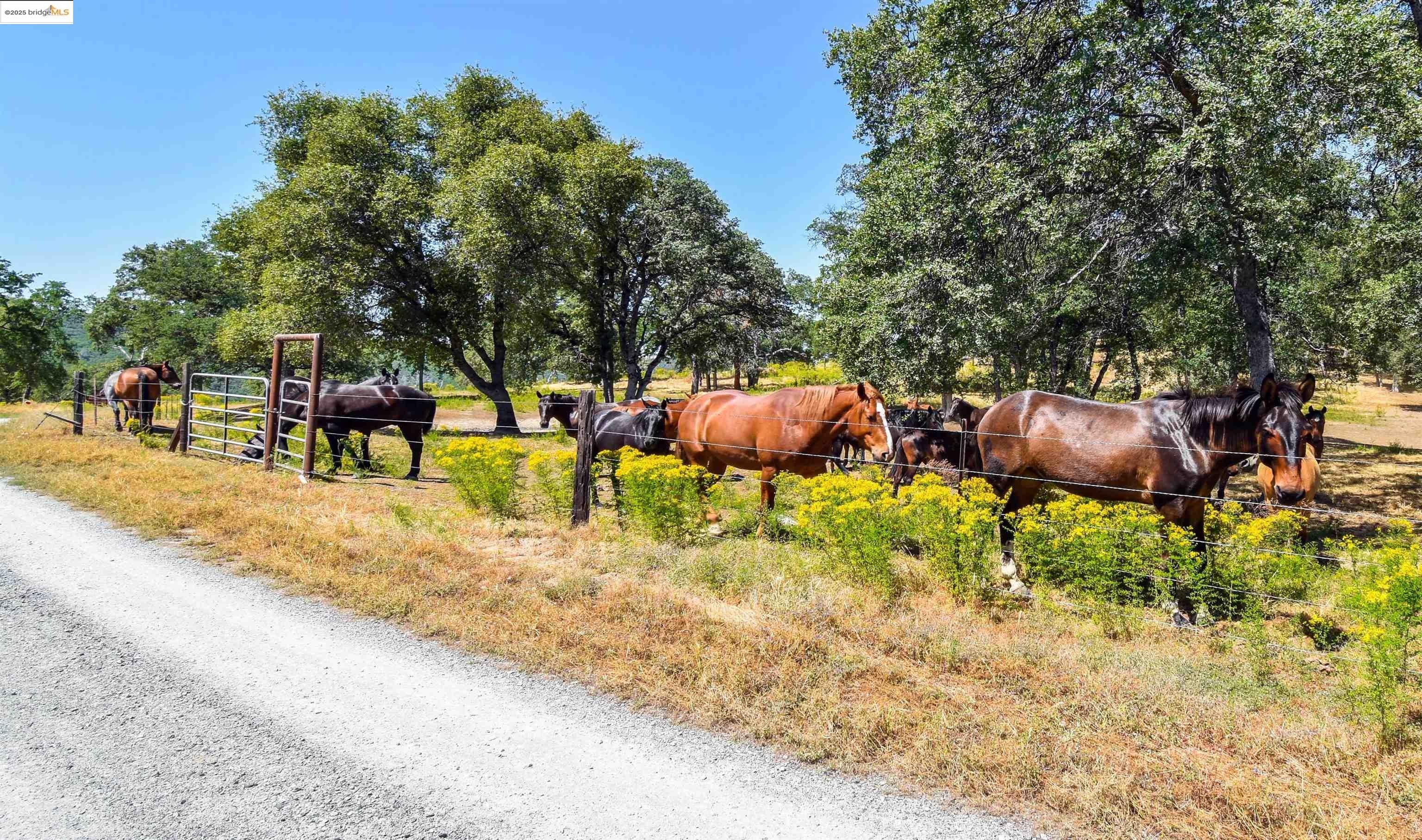 Sonora, California, 95370, United States, 4 Bedrooms Bedrooms, ,4 BathroomsBathrooms,Residential,For Sale,1846980