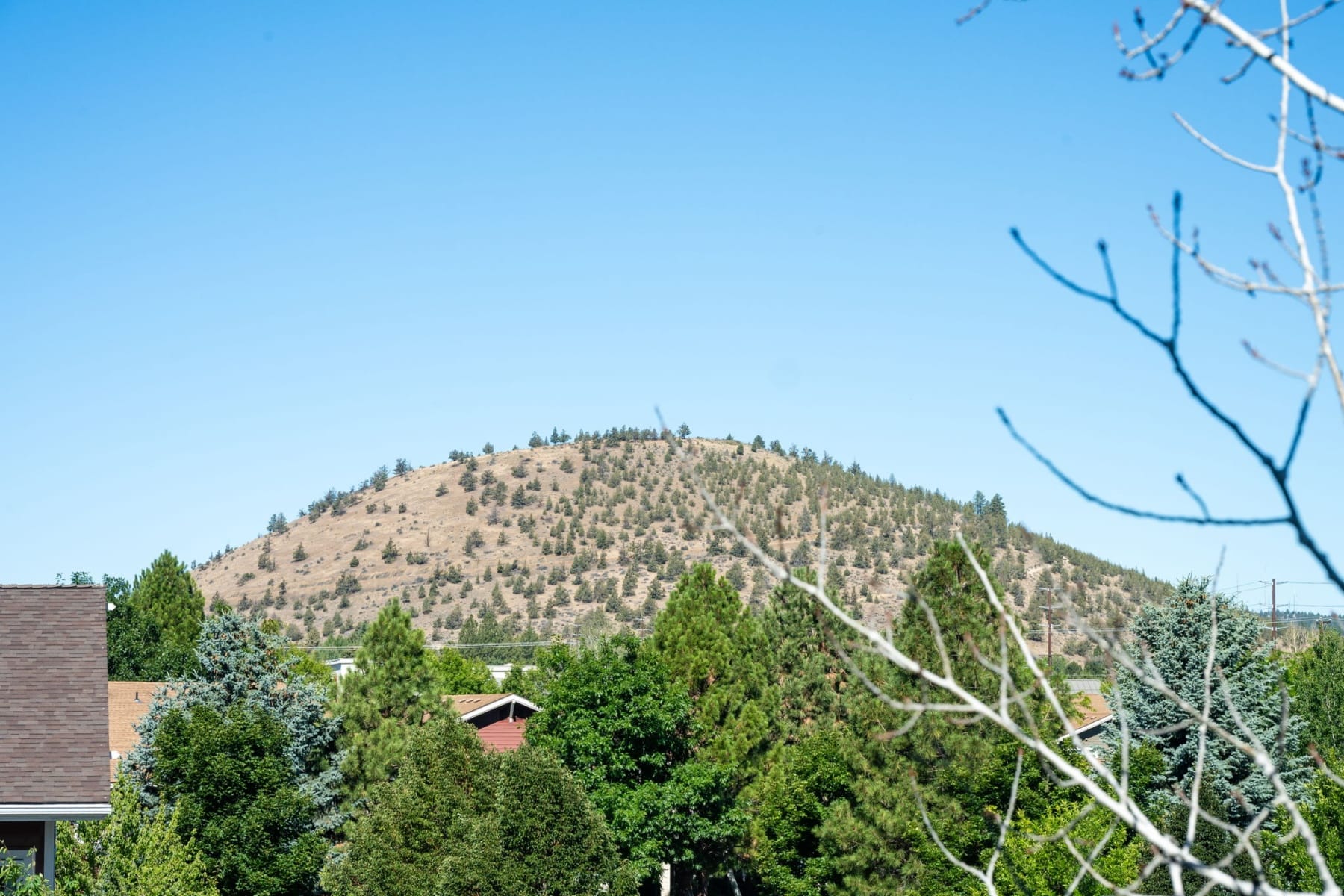  2836 NE Sedalia Loop Bend, OR 97701 - 物件實景