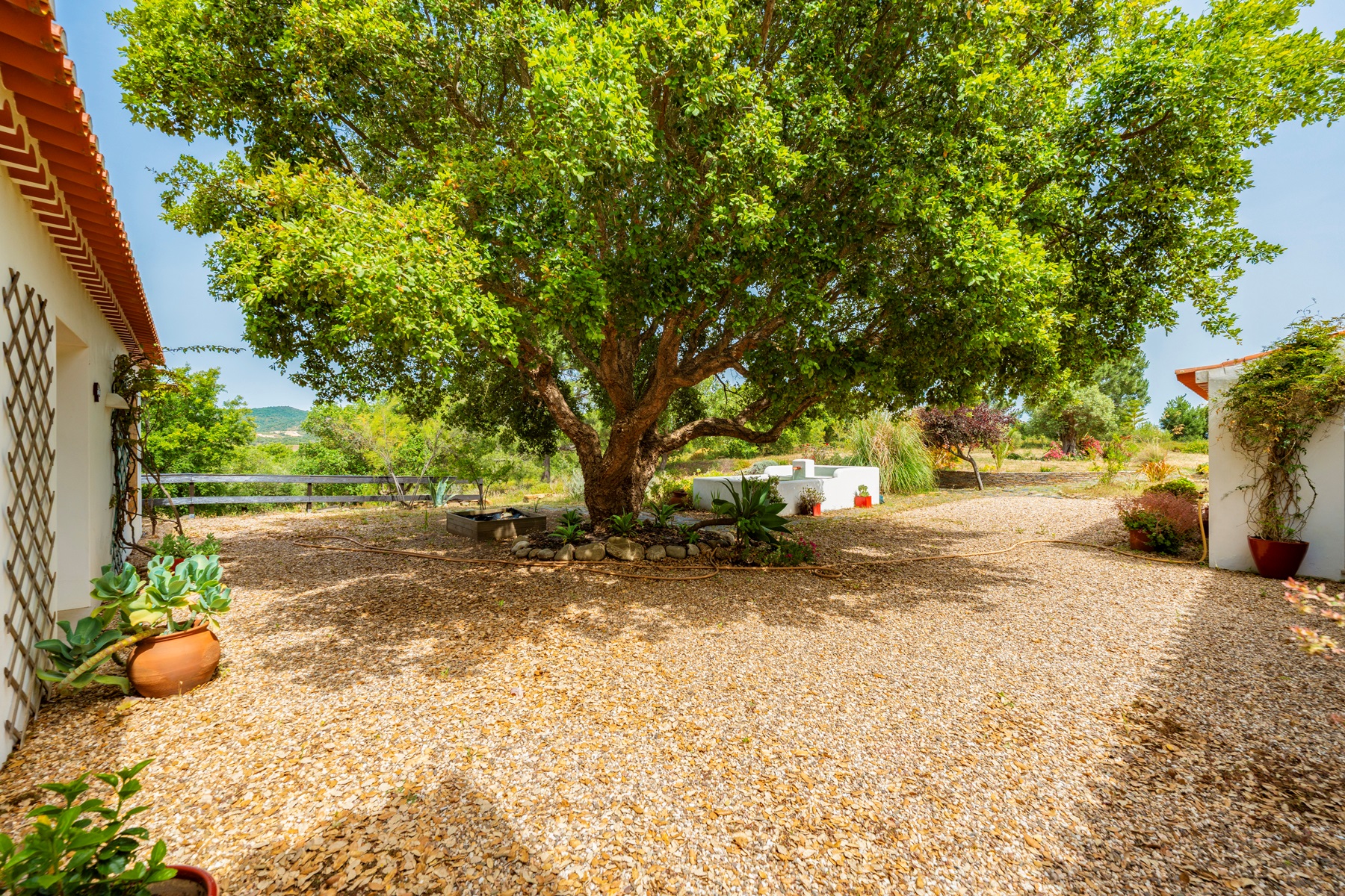  Farm, 7 bedrooms, for Sale - 物件實景