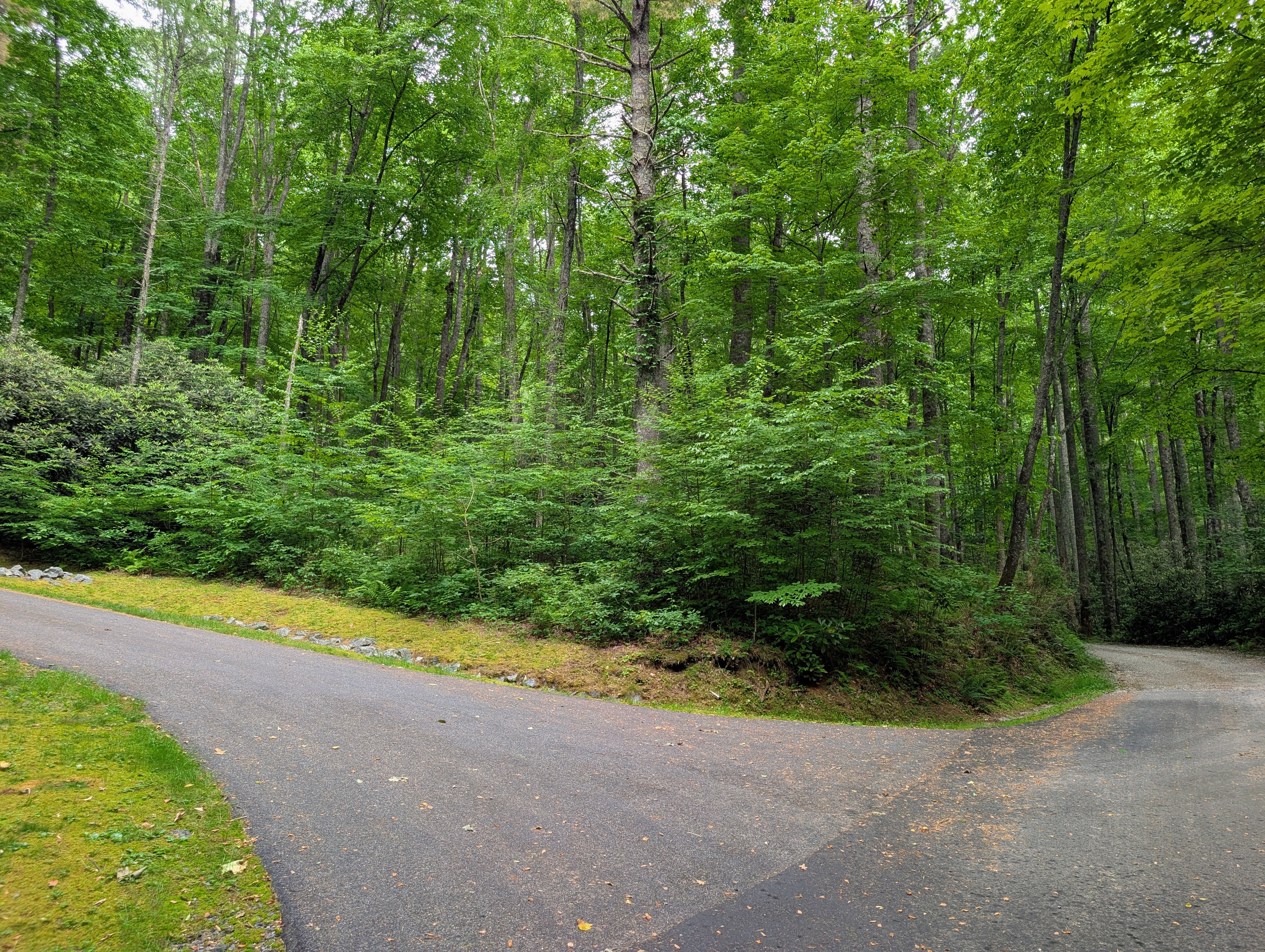  Lake Glenville Lot - 物件實景