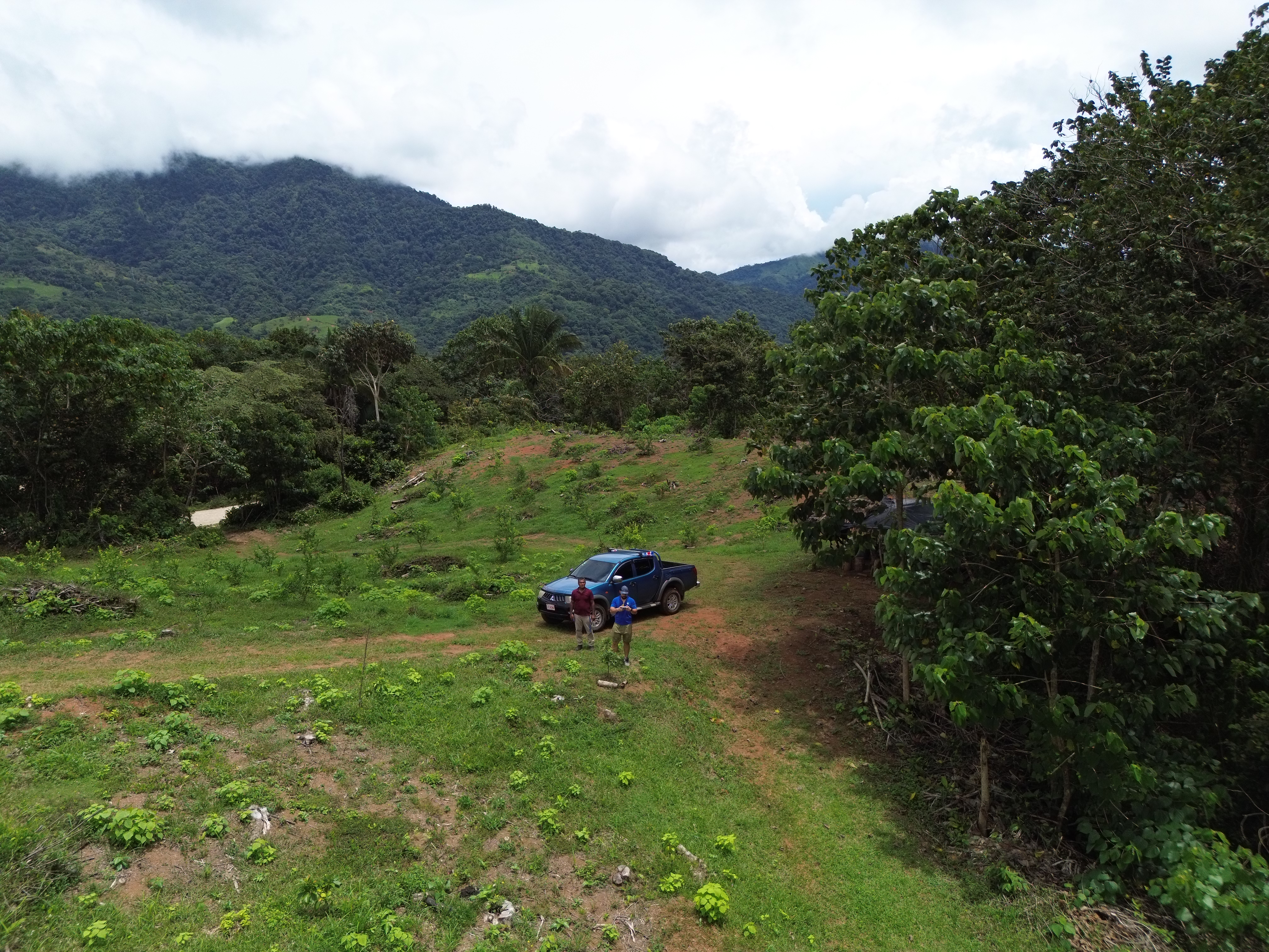Palmar Norte, Palmar, Puntarenas, CR, ,Land,For Sale,Palmar Norte,1667866