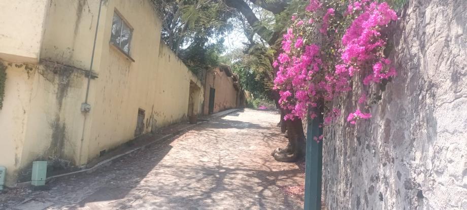 Fraccionamiento Las Quintas, Calle 4.5, Cuernavaca, Morelos, 62446, Mexico, 3 Bedrooms Bedrooms, ,4 BathroomsBathrooms,Residential,For Sale,Fraccionamiento Las Quintas, Calle 4.5,1614358