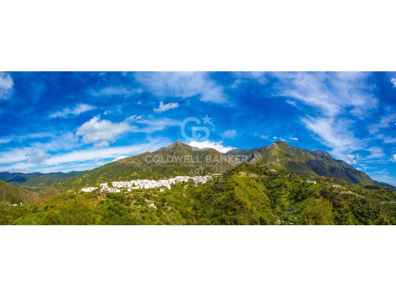 Istán, Andalusia, ES, 3 Bedrooms Bedrooms, ,3 BathroomsBathrooms,Residential,For Sale,1746260