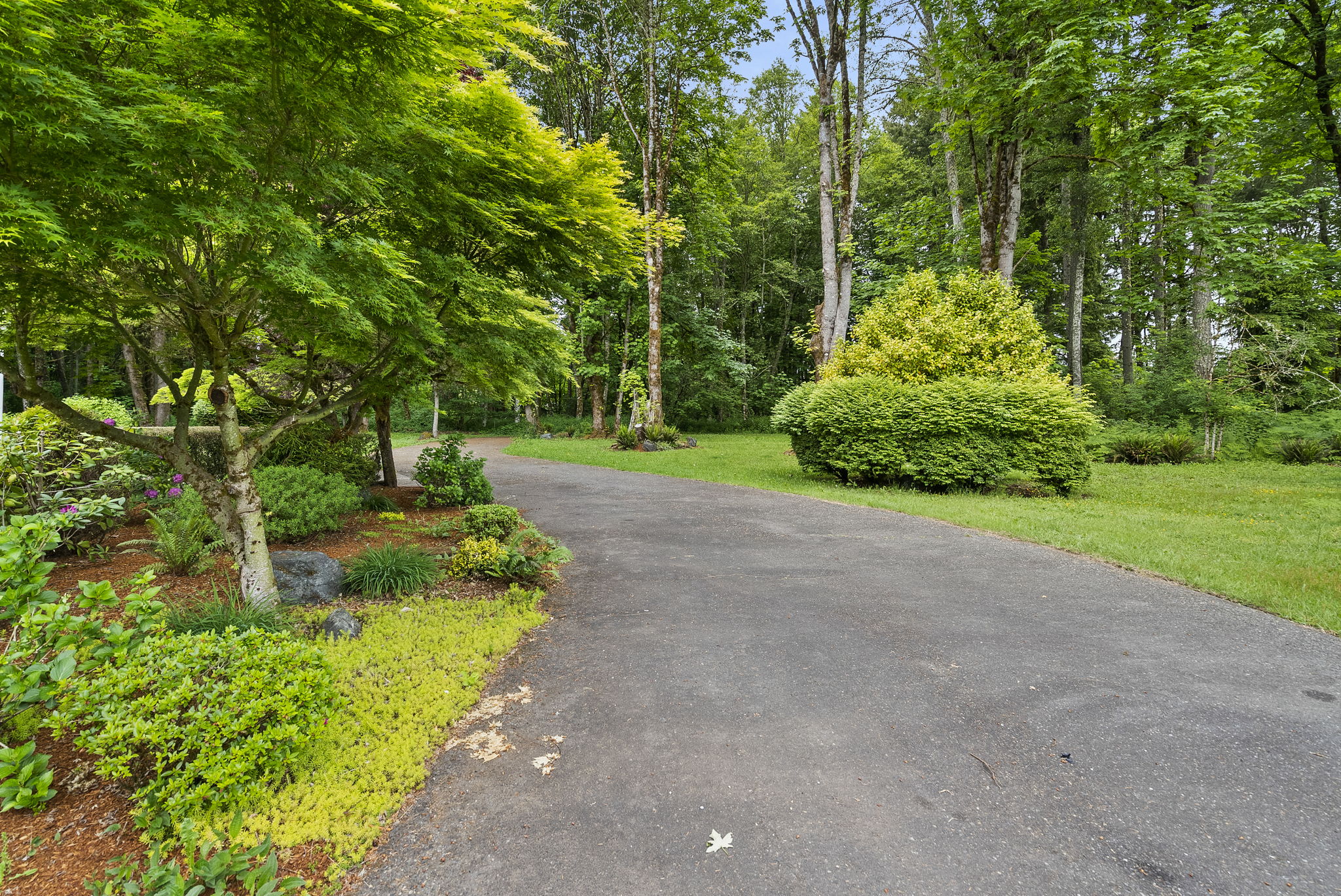  3809 74th Ave SE Olympia, WA 98501 - 物件實景