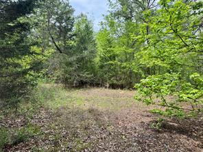 Naples, Texas, 75568, United States, ,Land,For Sale,1786234