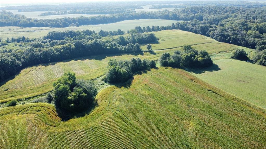 Trenton, Missouri, 64683, United States, ,Land,For Sale,1978686