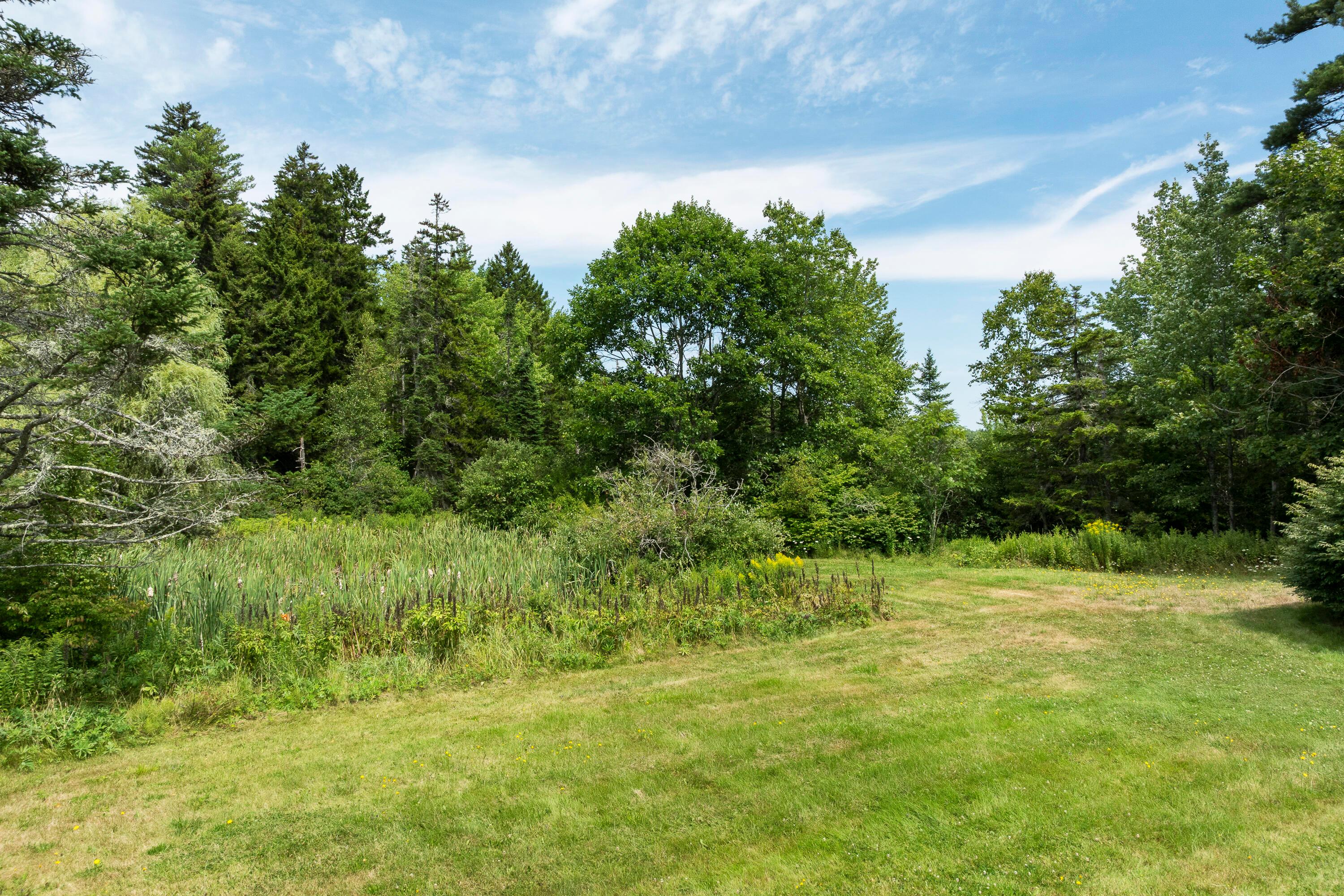  377 Pleasant Point Road - 物件實景