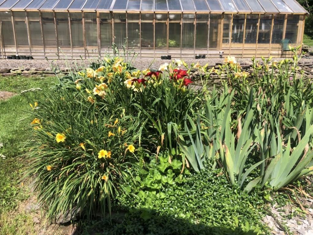 East Meredith, New York, 13757, United States, 3 Bedrooms Bedrooms, ,1 BathroomBathrooms,Residential,For Sale,1991594