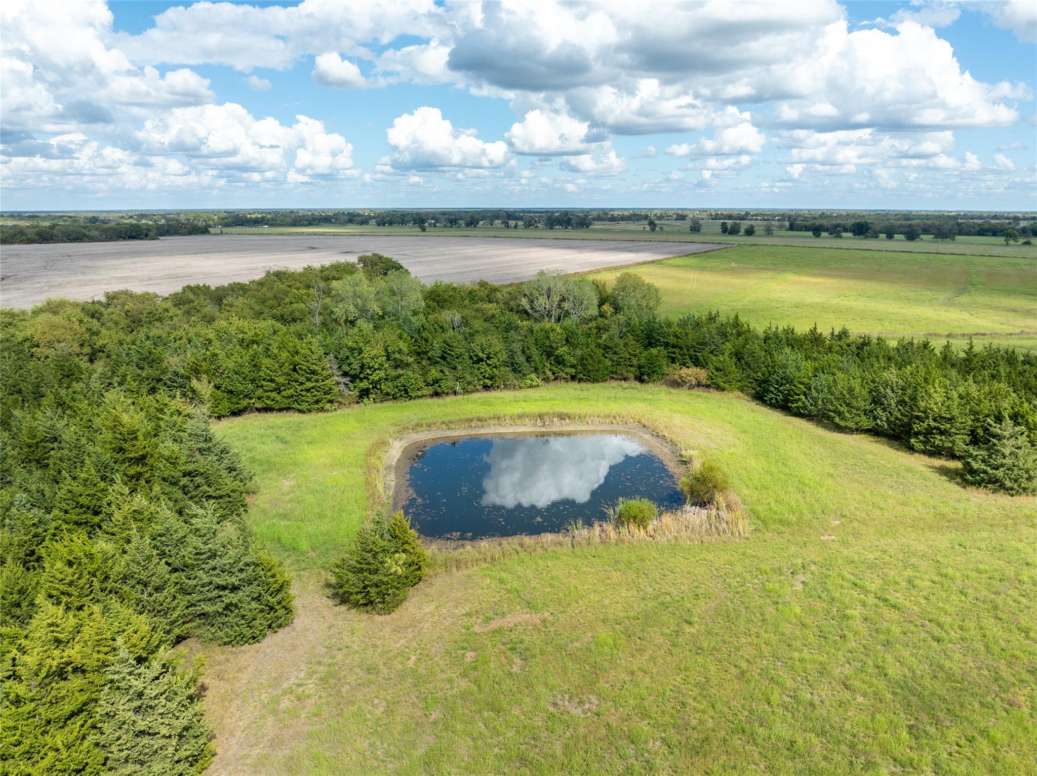 Blossom, Texas, 75416, United States, ,Residential,For Sale,1977937