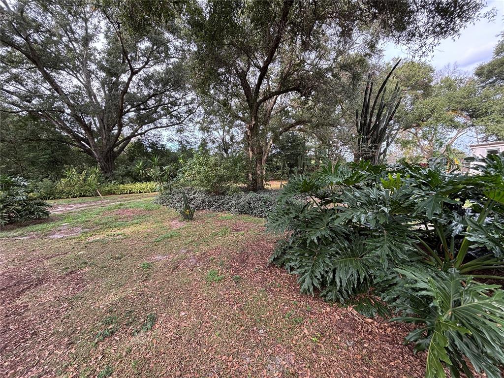 Apopka, Florida, 32712, United States, ,Land,For Sale,1998337