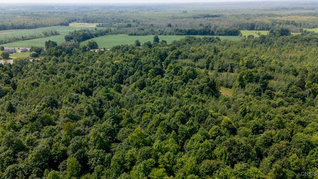 00 Cr-12, Pennellville, New York, 13132, United States, ,Land,For Sale,00 Cr-12,1621343