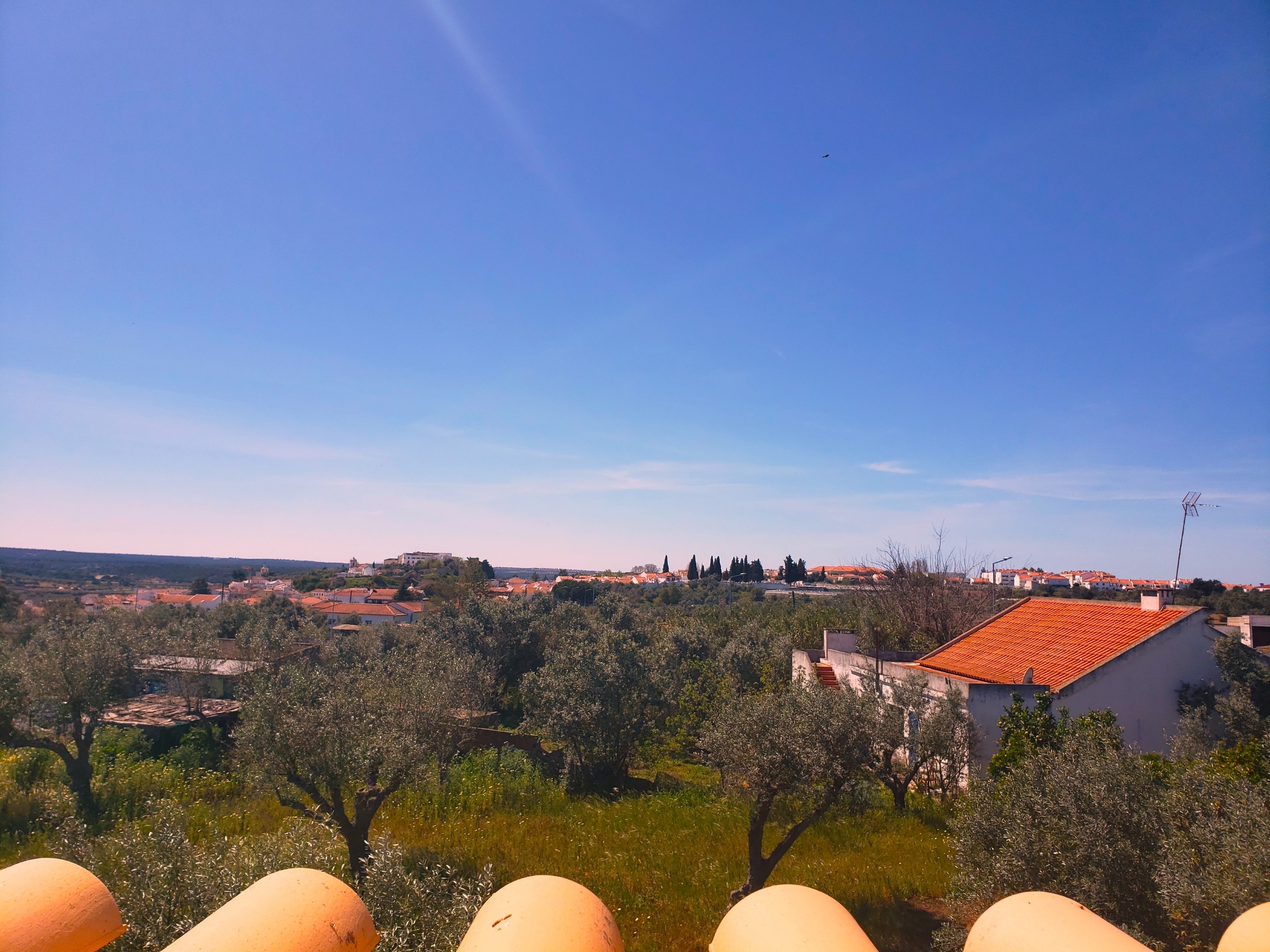Alcácer do Sal, Setúbal, 7580-001, PT, 4 Bedrooms Bedrooms, ,3 BathroomsBathrooms,Residential,For Sale,1699488
