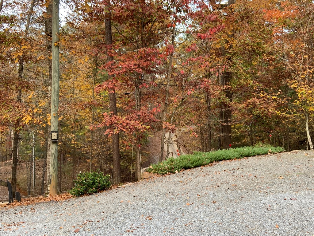 Ellijay, Georgia, 30540, United States, 3 Bedrooms Bedrooms, ,3 BathroomsBathrooms,Residential,For Sale,1859130
