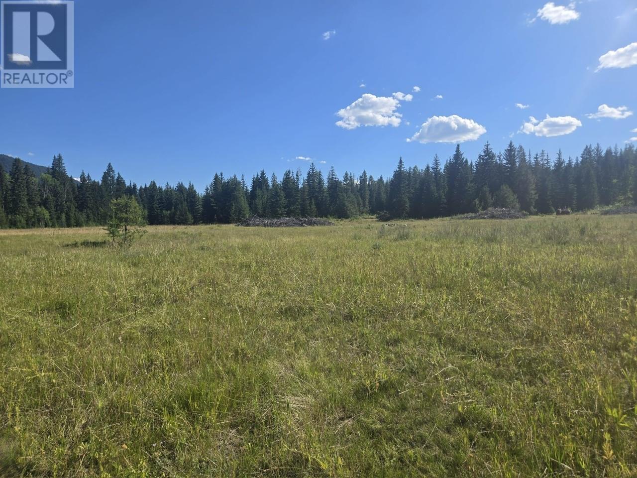FALKLAND, British Columbia, V0E 1W1, CA, ,Residential,For Sale,1906760