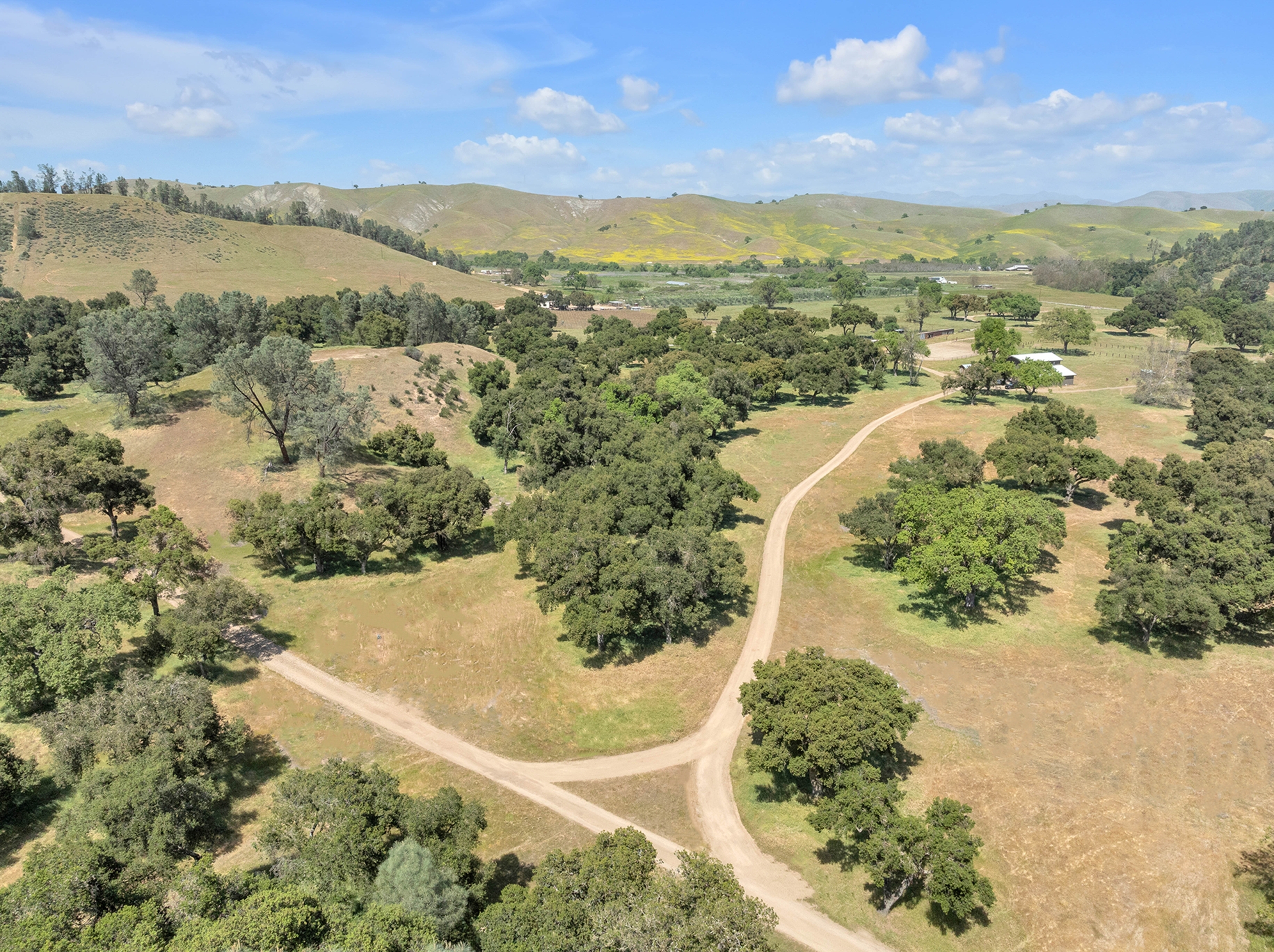  770 Limekiln Road - 物件實景