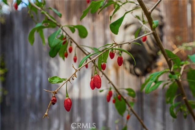 Riverside, California, 92503, United States, 3 Bedrooms Bedrooms, ,1 BathroomBathrooms,Residential,For Sale,1991391