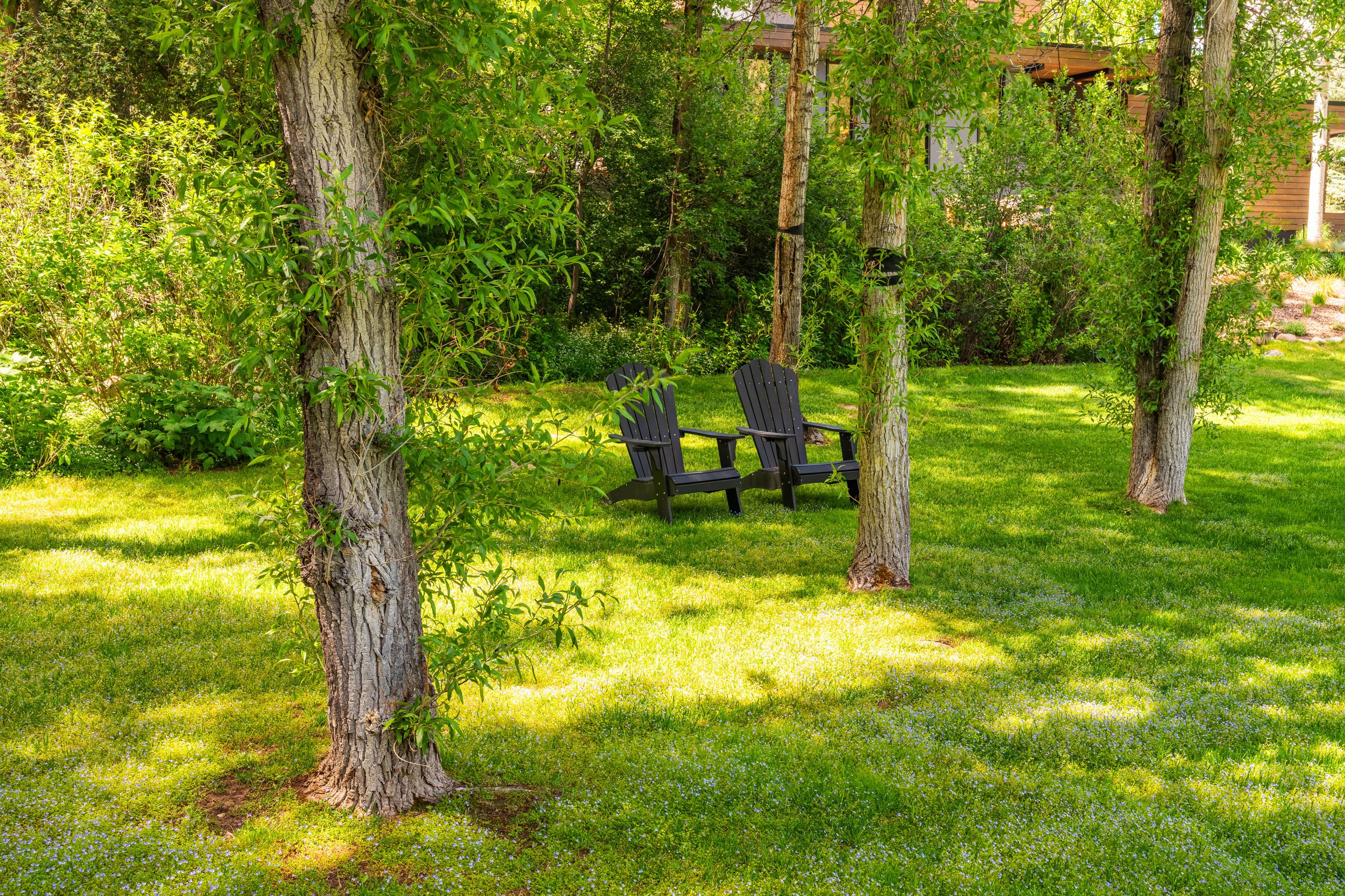  1235 Red Butte Drive, Aspen, CO 81611 - 物件實景