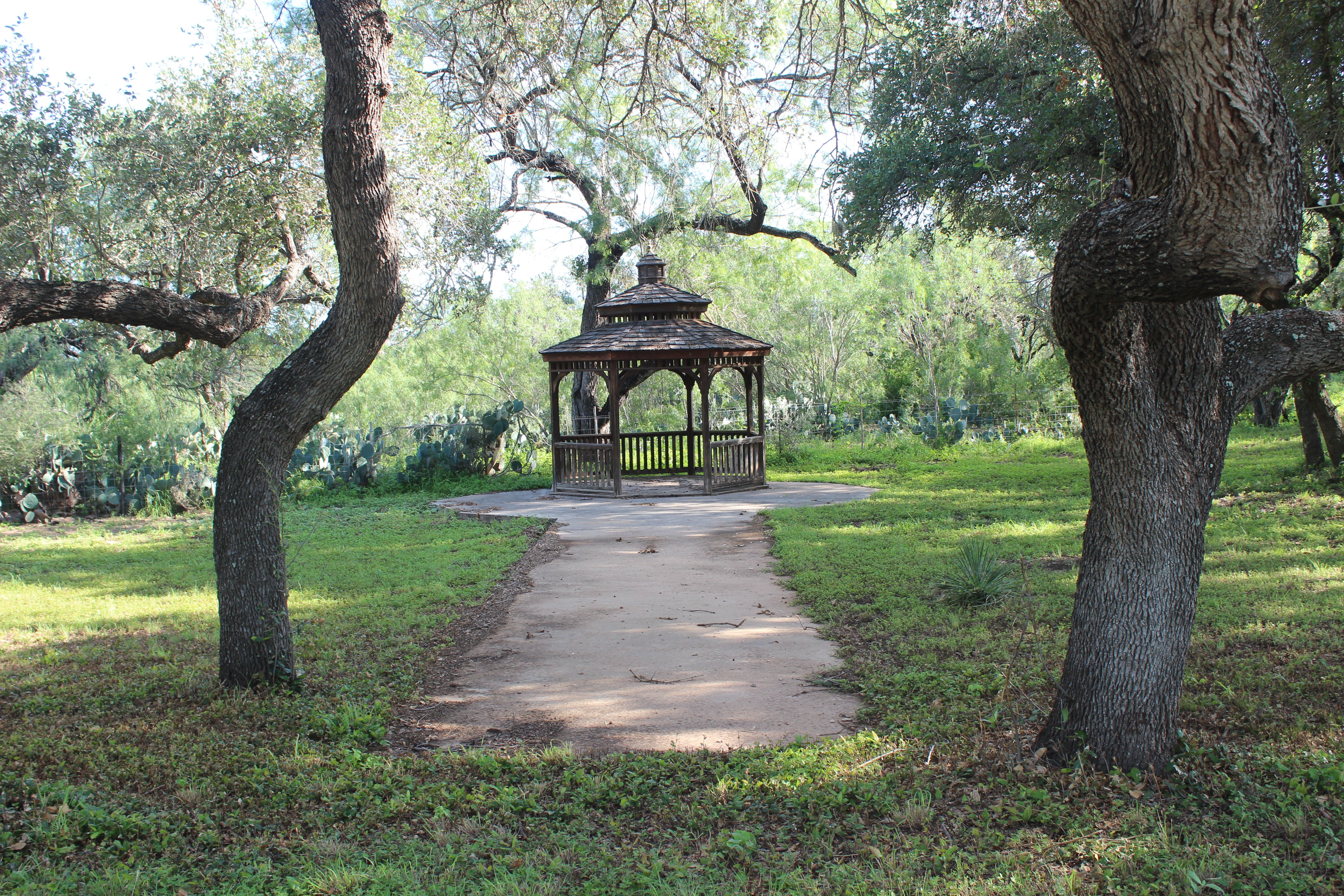  Apache Hill Ranch in Uvalde County - 物件實景