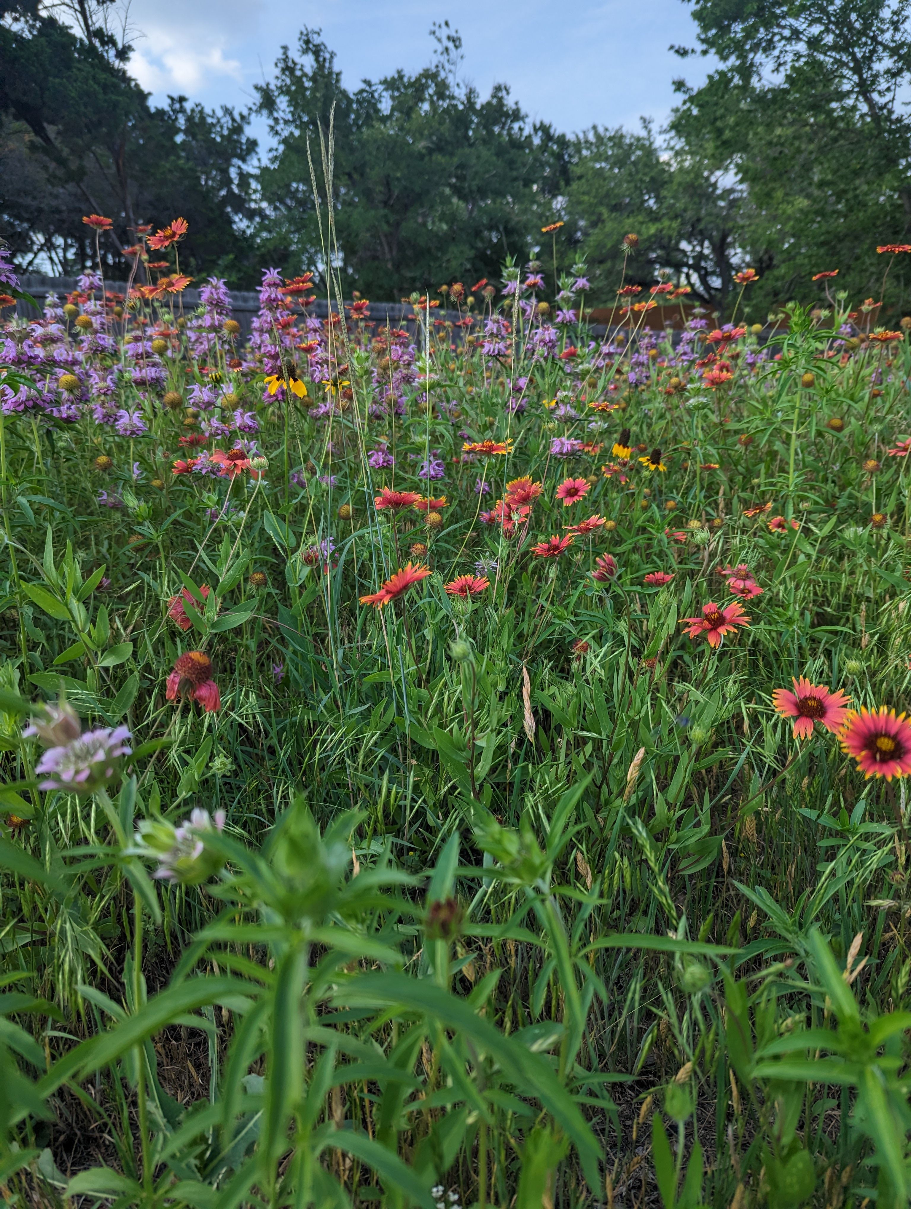  Single-Story Retreat on One Acre with Close Proximity to Private Schools - 物件實景