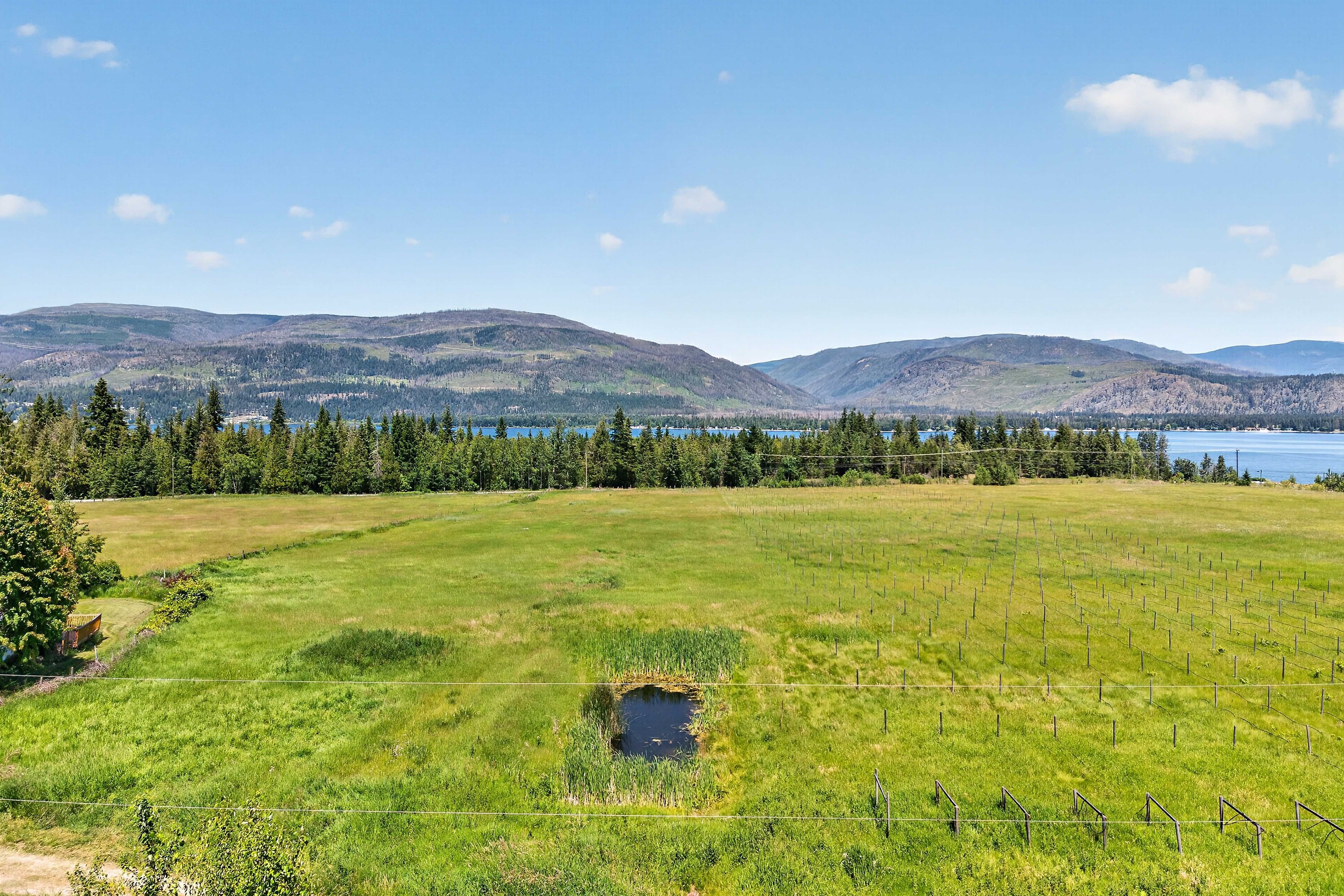  158 Acres Lakeview ALR Land - 物件實景