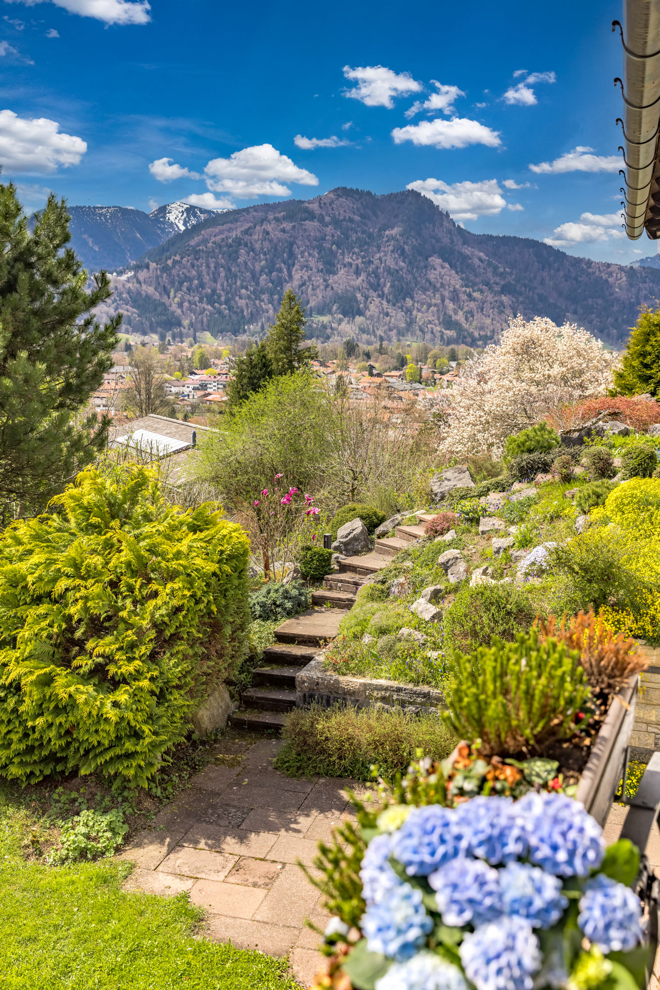  Alpine Living - Front Row to the Mountains - 物件實景