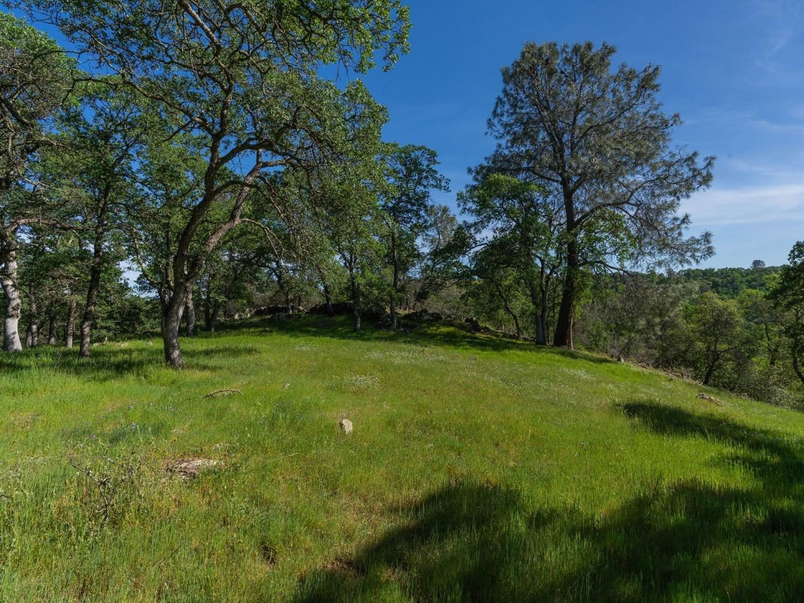  10865 Sunset Drive, Sutter Creek, CA 95685 - 物件實景