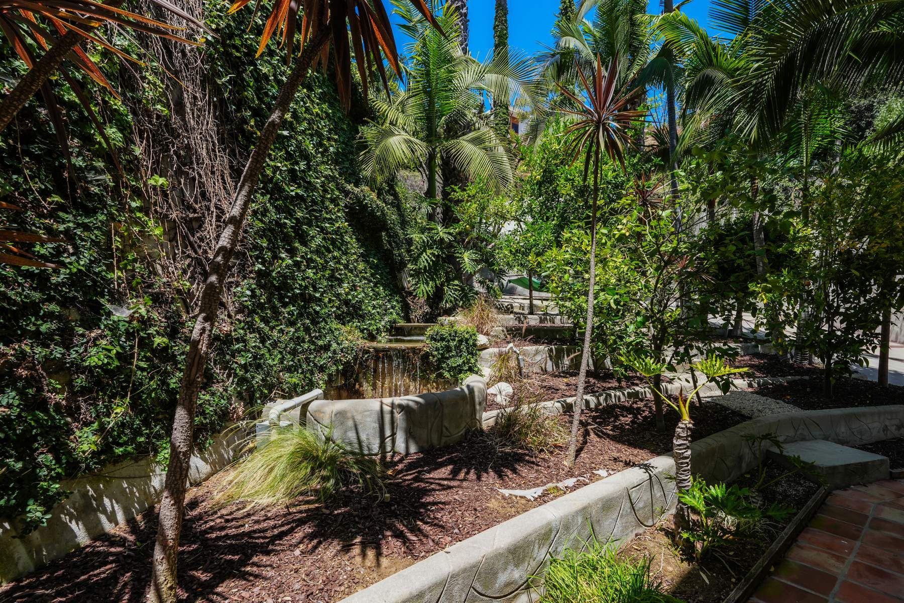  2216 East Live Oak Drive - 物件實景