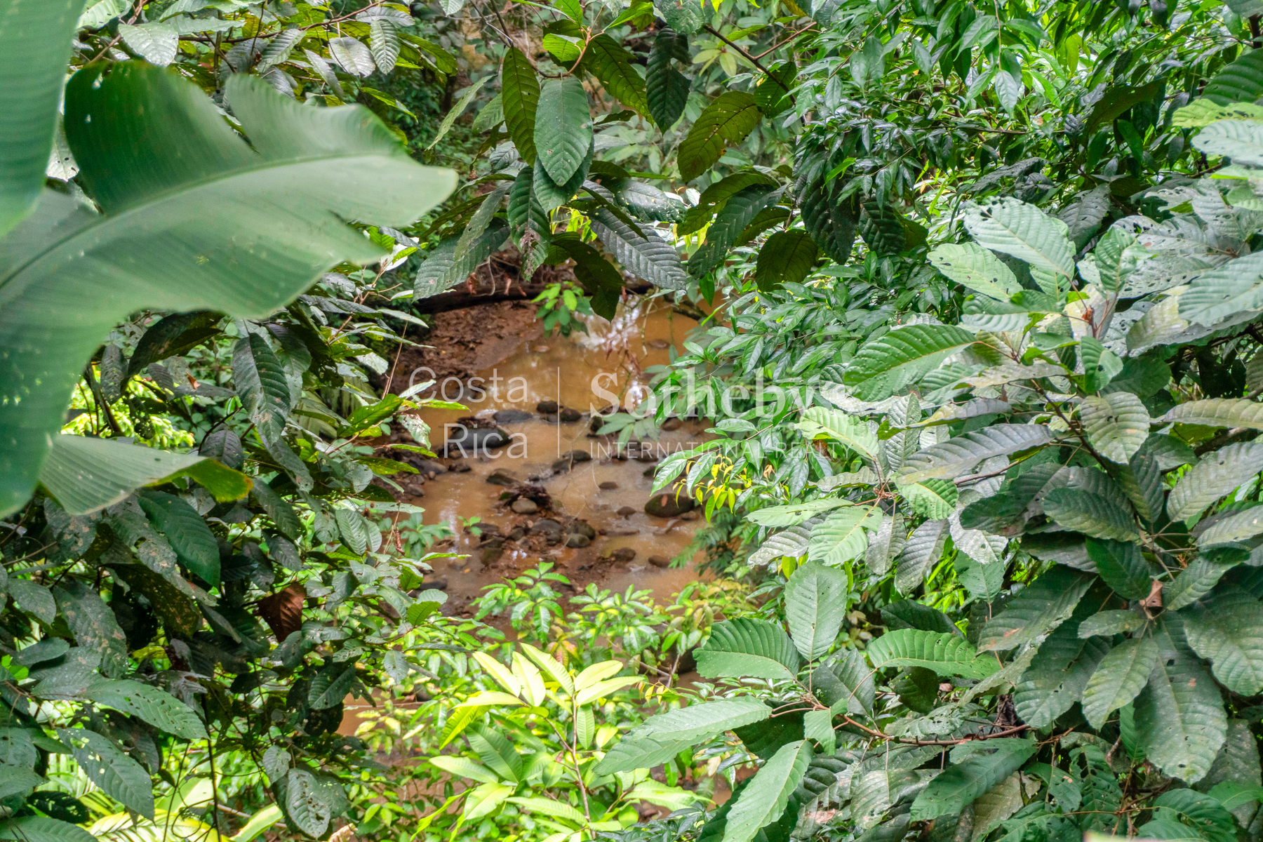  THE EMERALD SANCTUARY - PRIVATE JUNGLE VILLA WITH POOL IN OJOCHAL - 物件實景
