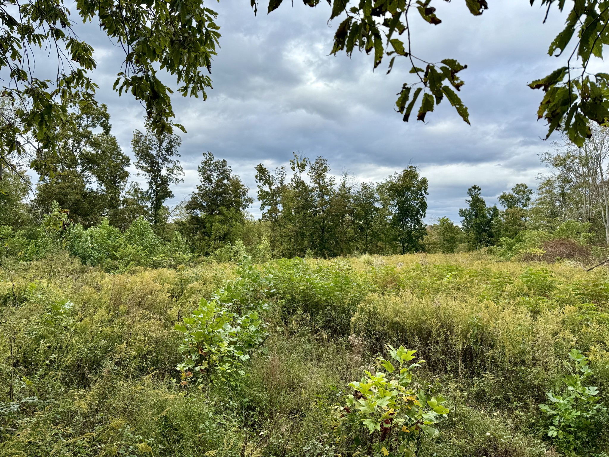 Lynchburg, Tennessee, 37388, United States, ,Land,For Sale,1982223