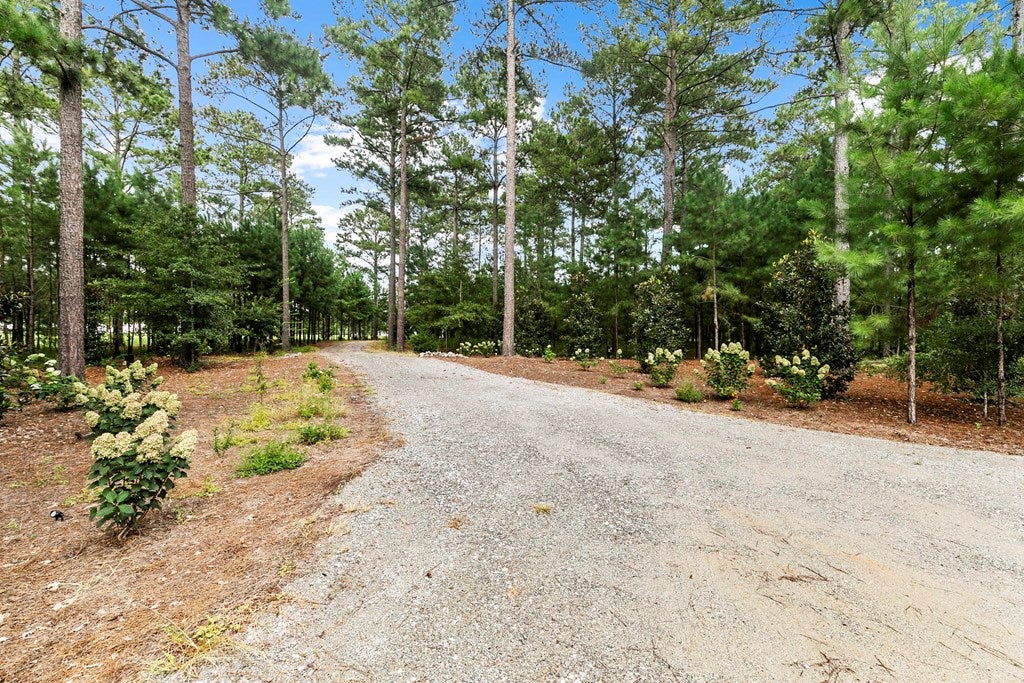 Webb, Alabama, 36376, United States, 3 Bedrooms Bedrooms, ,3 BathroomsBathrooms,Residential,For Sale,1917089