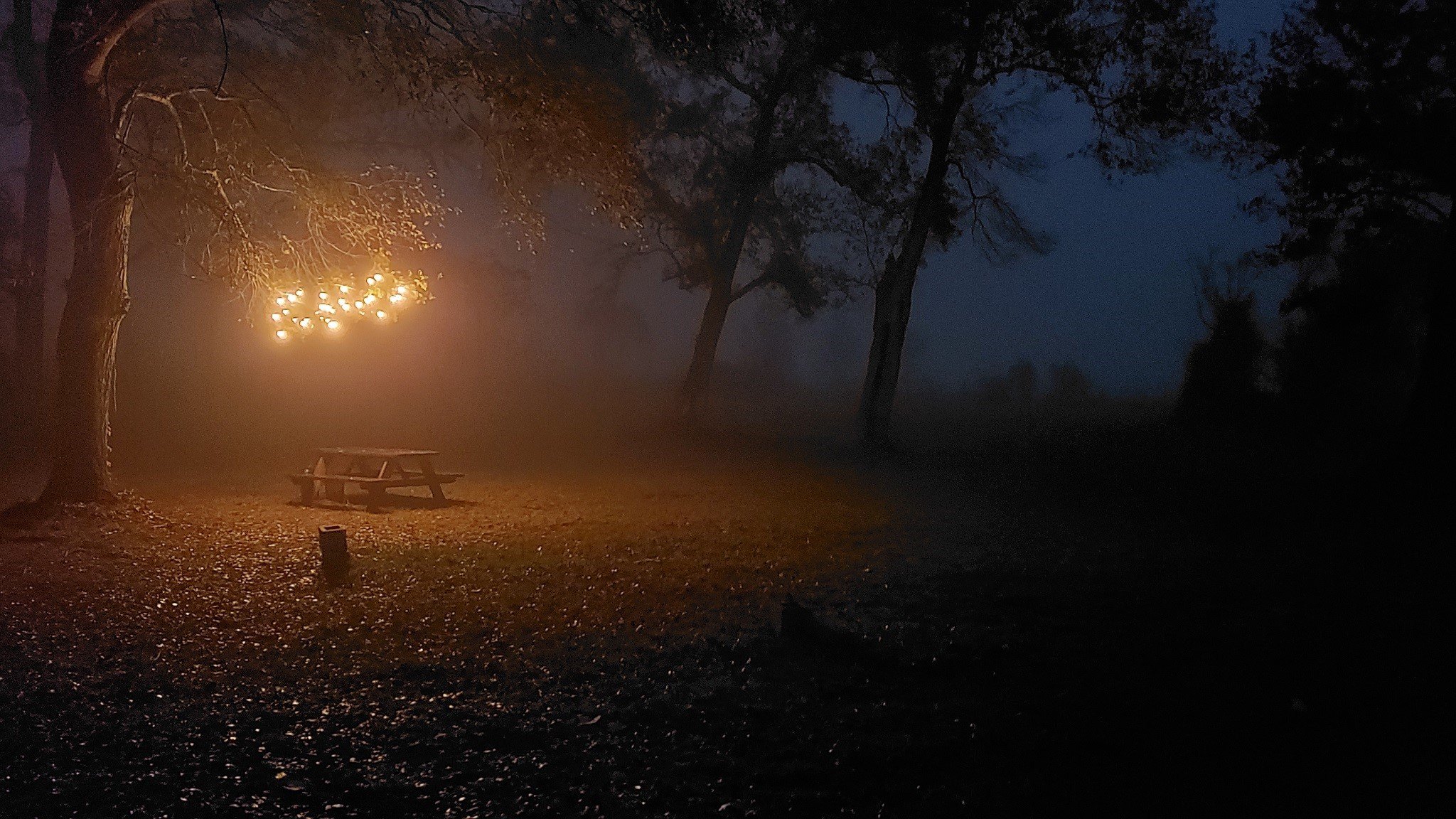 Hockley, Texas, 77447, United States, 2 Bedrooms Bedrooms, ,1 BathroomBathrooms,Residential,For Sale,1974890