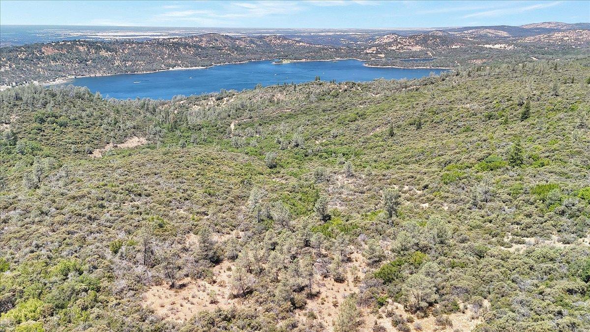 Oregon House, California, 95962, United States, ,Land,For Sale,1975767