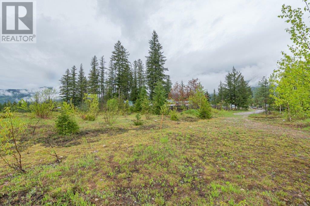 MALAKWA, British Columbia, V0E 2J0, CA, ,Residential,For Sale,1839000