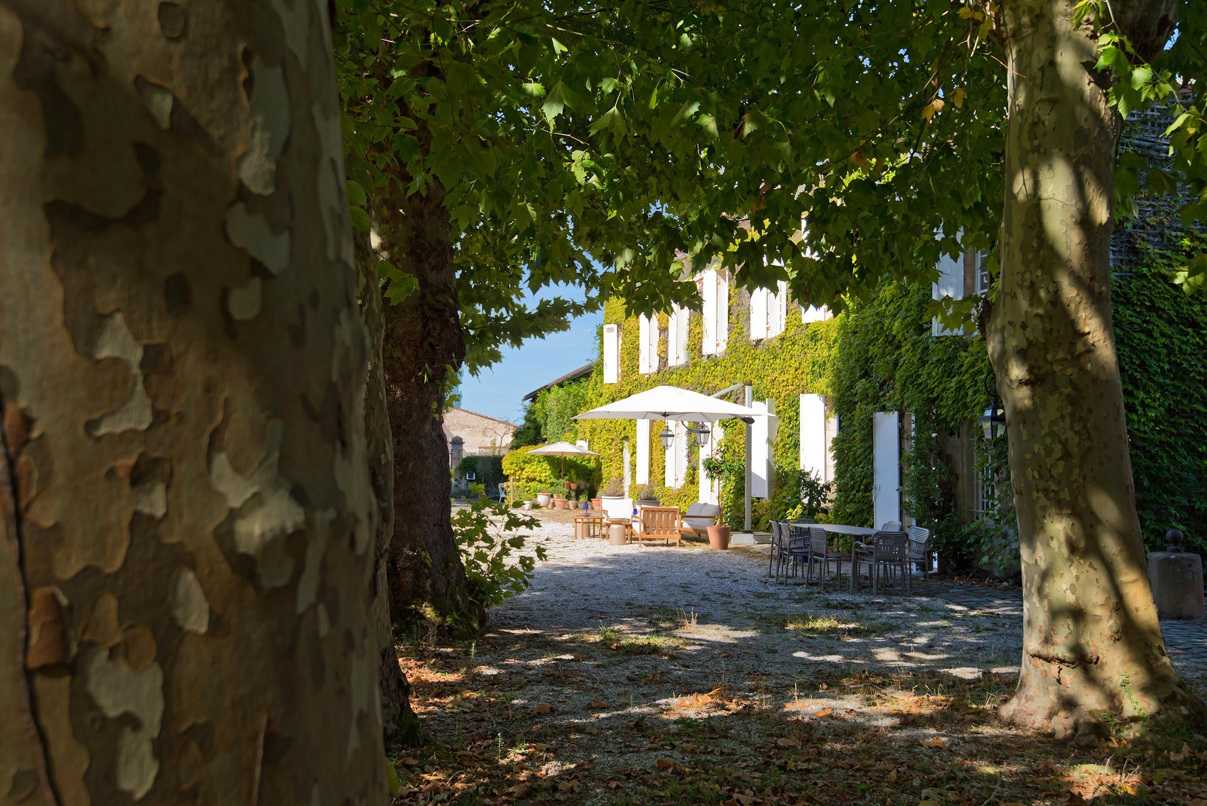  BORDEAUX 40MN - STUNNING 18th CHARTREUSE - 1.3 HECTARES PARK - 9 BEDROOMS - MAG… - 物件實景