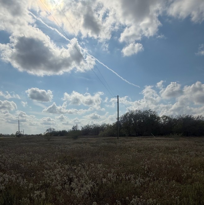 Runge, Texas, 78151, United States, ,Residential,For Sale,1996631