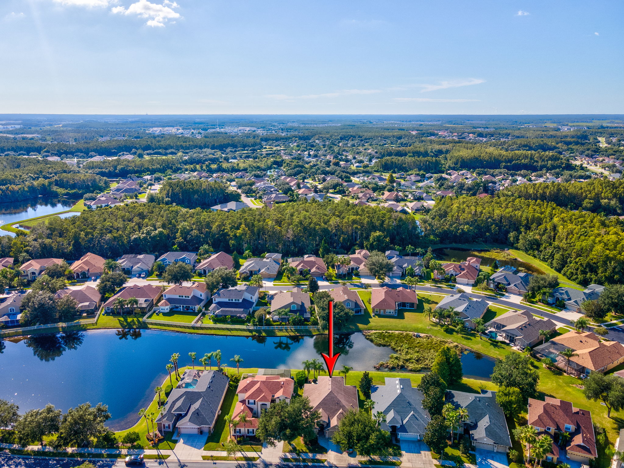 Land O Lakes, Florida, 34638, United States, 4 Bedrooms Bedrooms, ,4 BathroomsBathrooms,Residential,For Sale,1973686