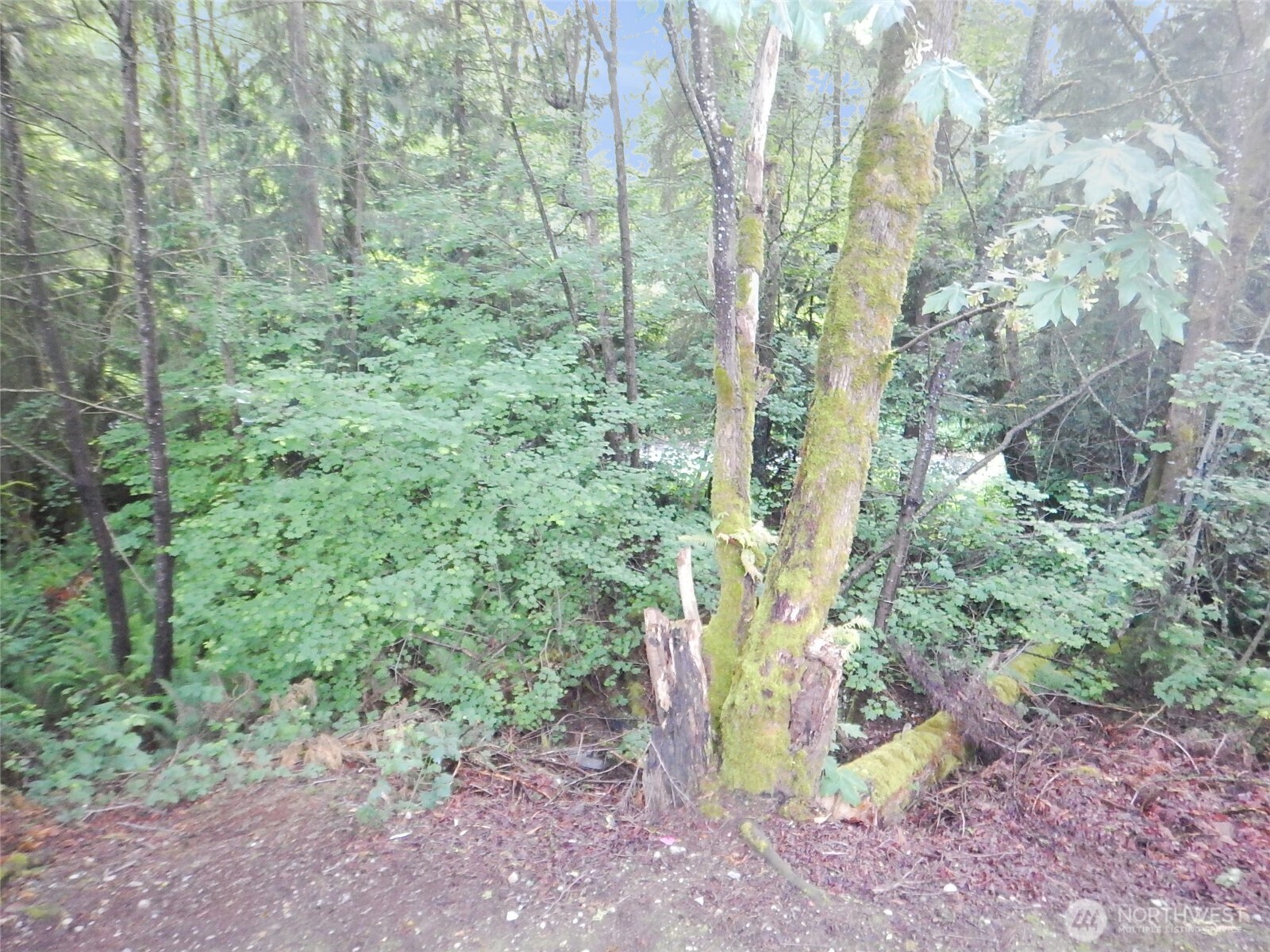 Arlington, Washington, 98223, United States, 3 Bedrooms Bedrooms, ,2 BathroomsBathrooms,Residential,For Sale,1915459