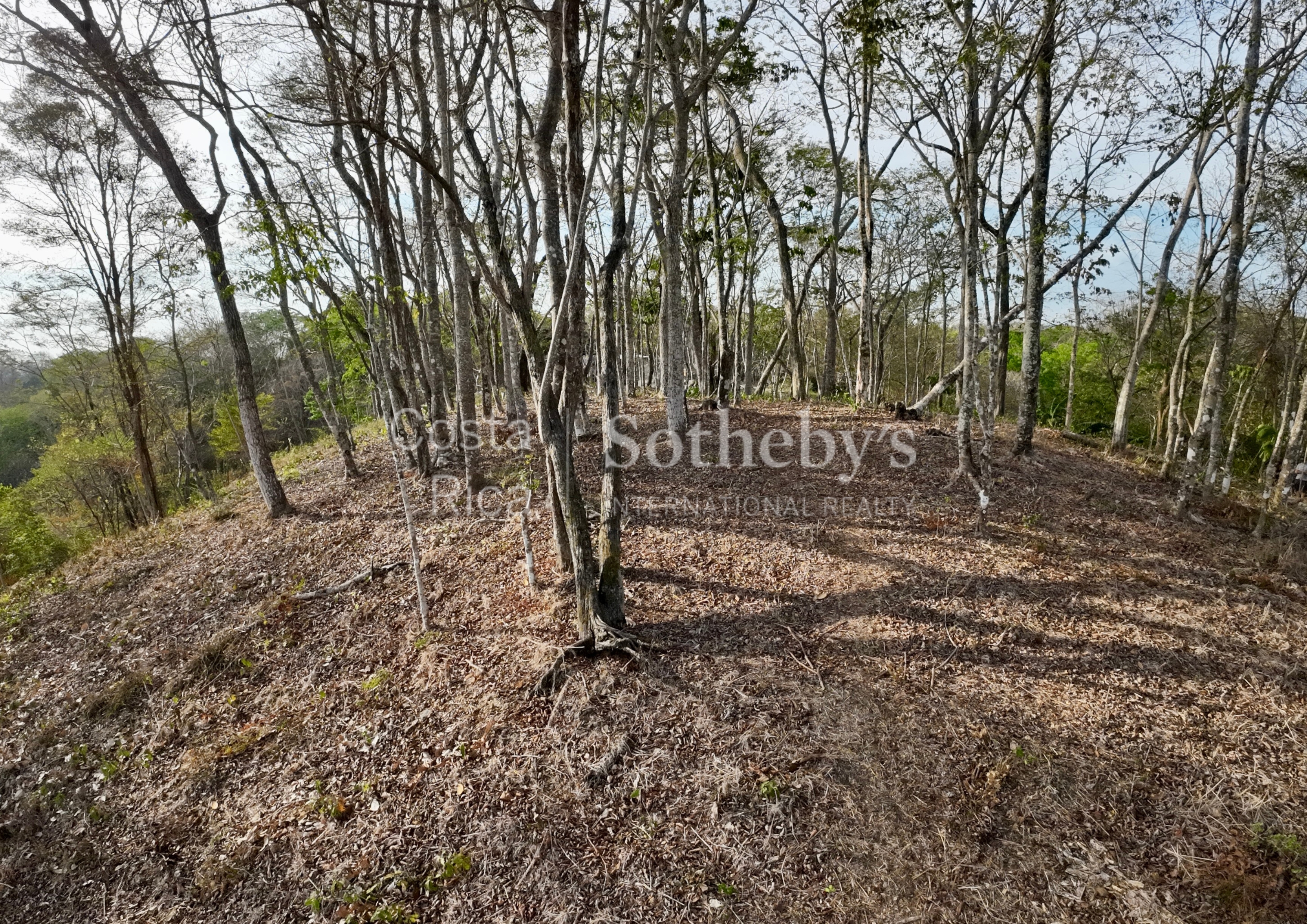  Expansive Ocean View Lot in the Hills of Hermosa - 物件實景