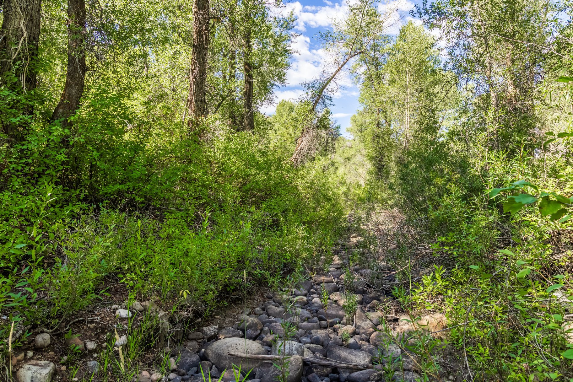  Rare Weber River Frontage Homesite - 物件實景