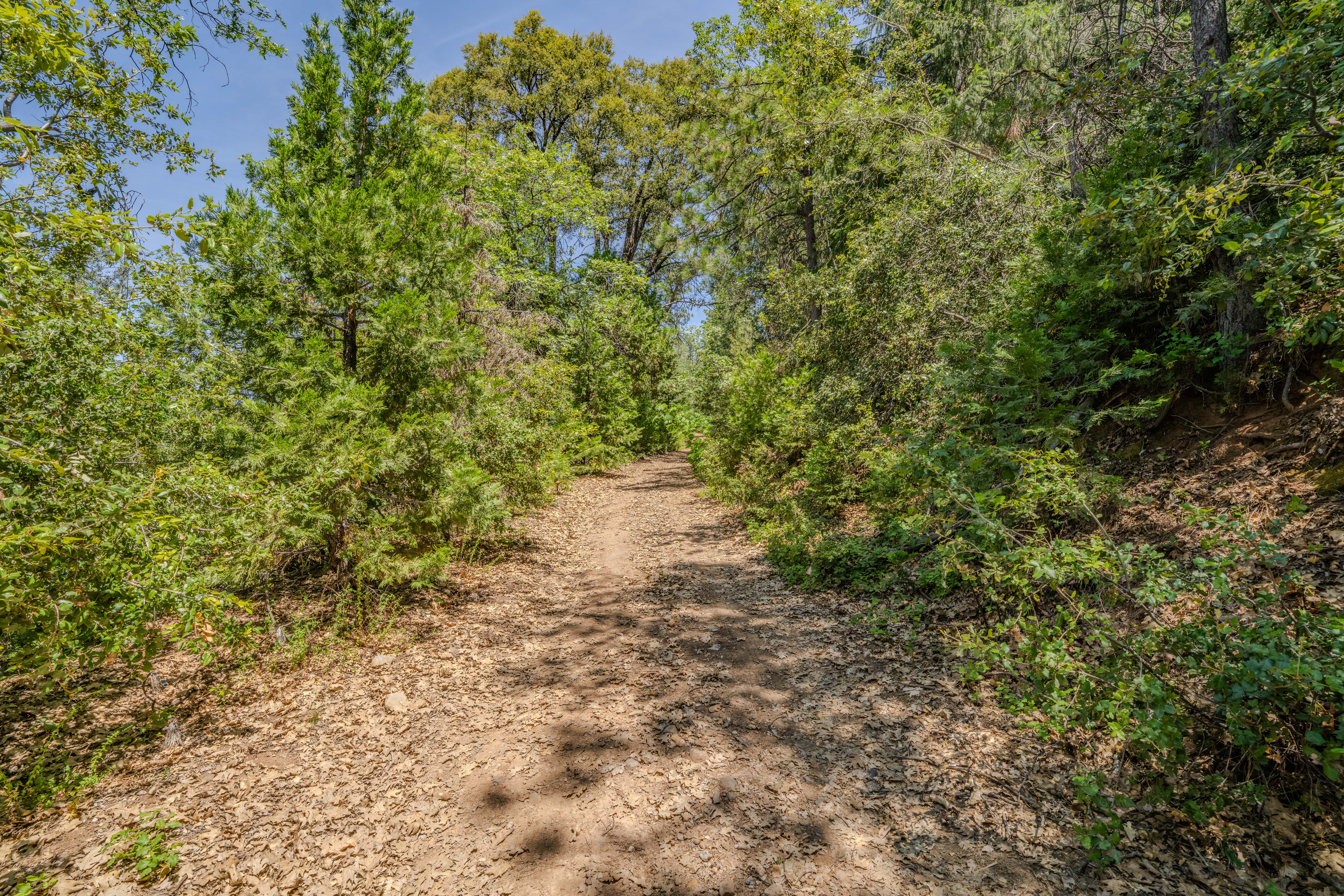  24100 Canterbury Road, Pioneer, CA 95666 - 物件實景