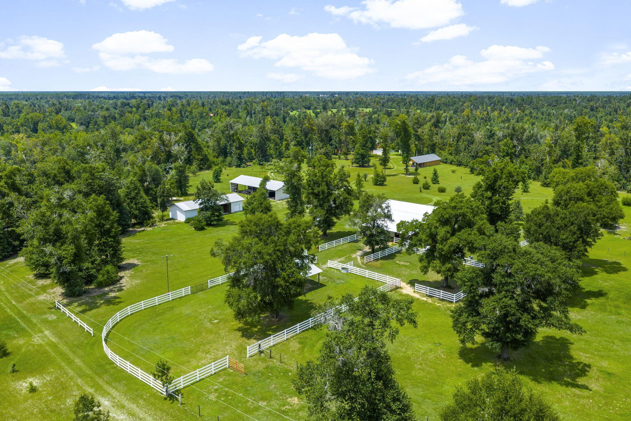 Youngstown, Florida, 32466, United States, 6 Bedrooms Bedrooms, ,6 BathroomsBathrooms,Residential,For Sale,1981831