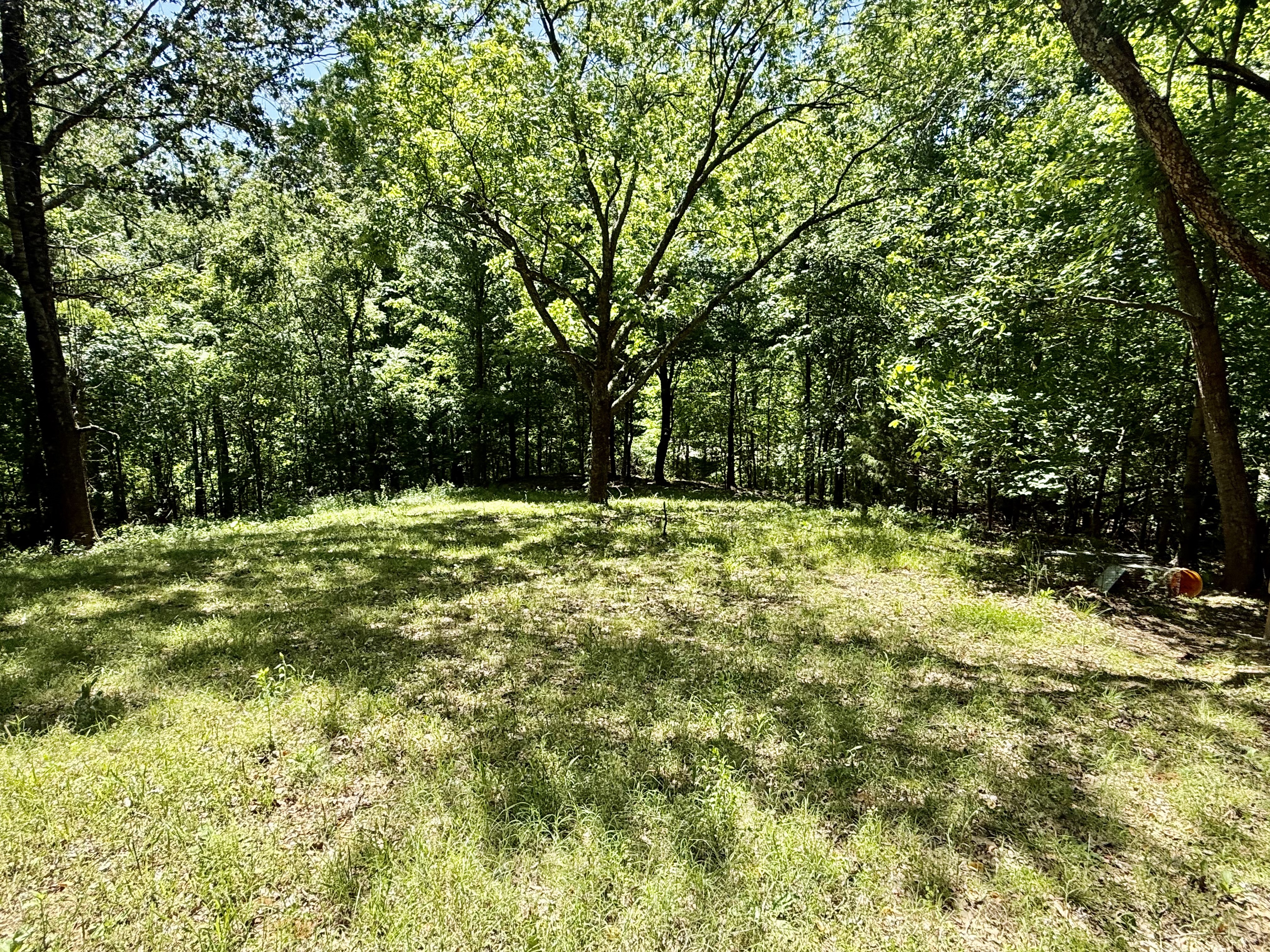 Rives, Tennessee, 38253, United States, 3 Bedrooms Bedrooms, ,2 BathroomsBathrooms,Residential,For Sale,2031987
