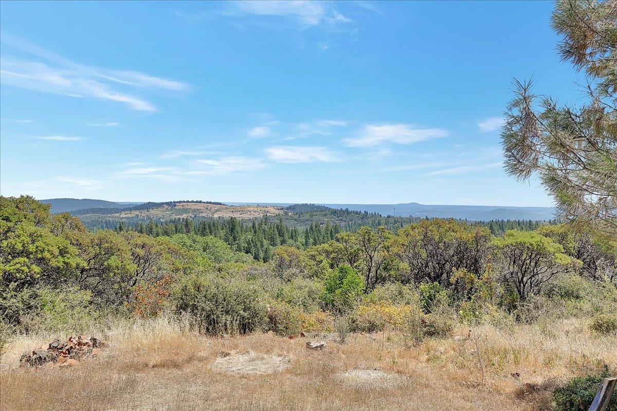 Oregon House, California, 95962, United States, ,Land,For Sale,1975767