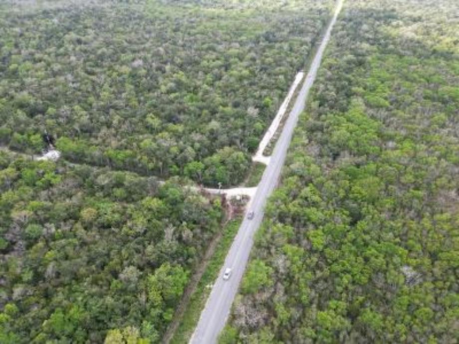 Quintana Roo Puerto Morelos - Leona Vicario, Puerto Morelos, Quintana Roo, 77580, Mexico, 1 Bedroom Bedrooms, ,1 BathroomBathrooms,Residential,For Sale,Quintana Roo Puerto Morelos - Leona Vicario,1640742