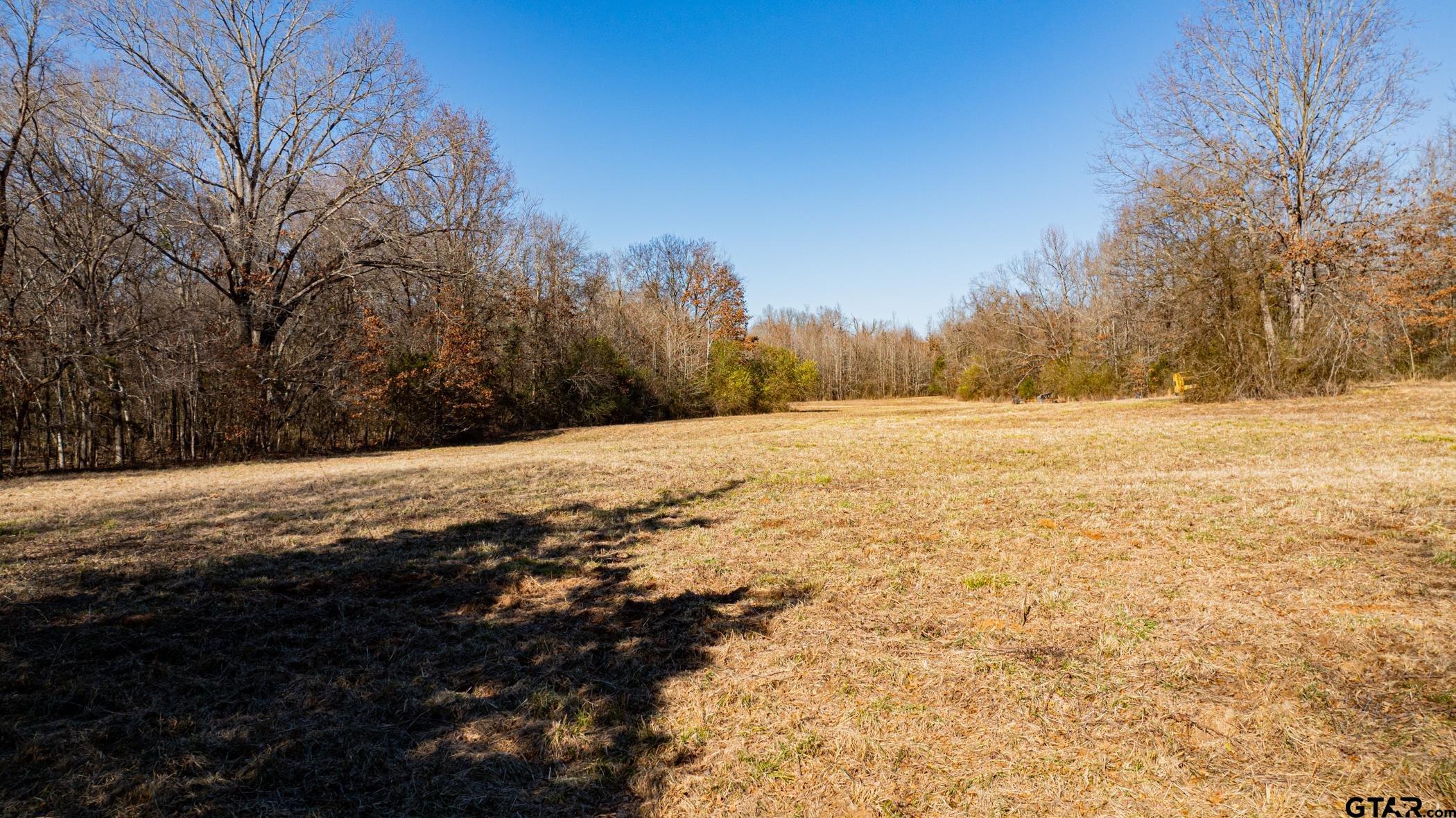 Dekalb, Texas, 75559, United States, ,Land,For Sale,1983481