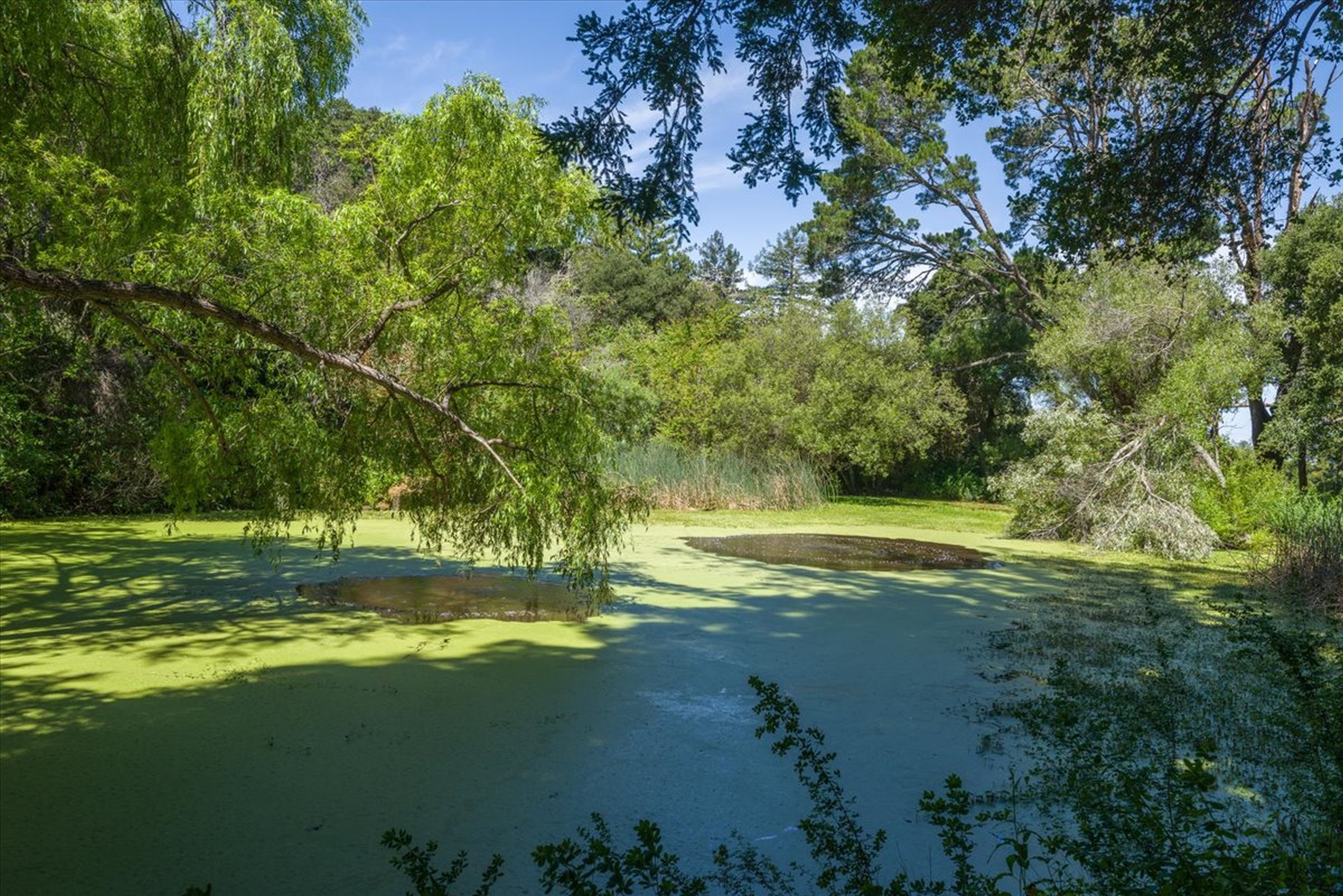  90 Hayfields Road, Portola Valley, CA 94028 - 物件實景