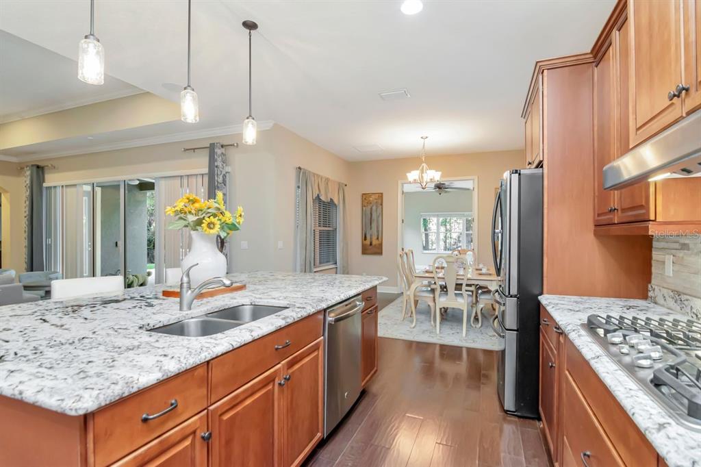 Land O Lakes, Florida, 34638, United States, 5 Bedrooms Bedrooms, ,4 BathroomsBathrooms,Residential,For Sale,2003047